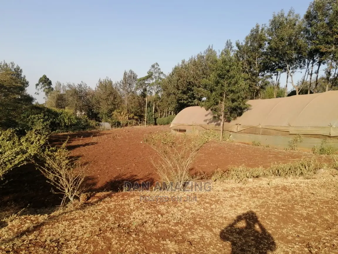 Half Acre Land in Ngong: Easy Tarmac Access - For Sale in Ngong
