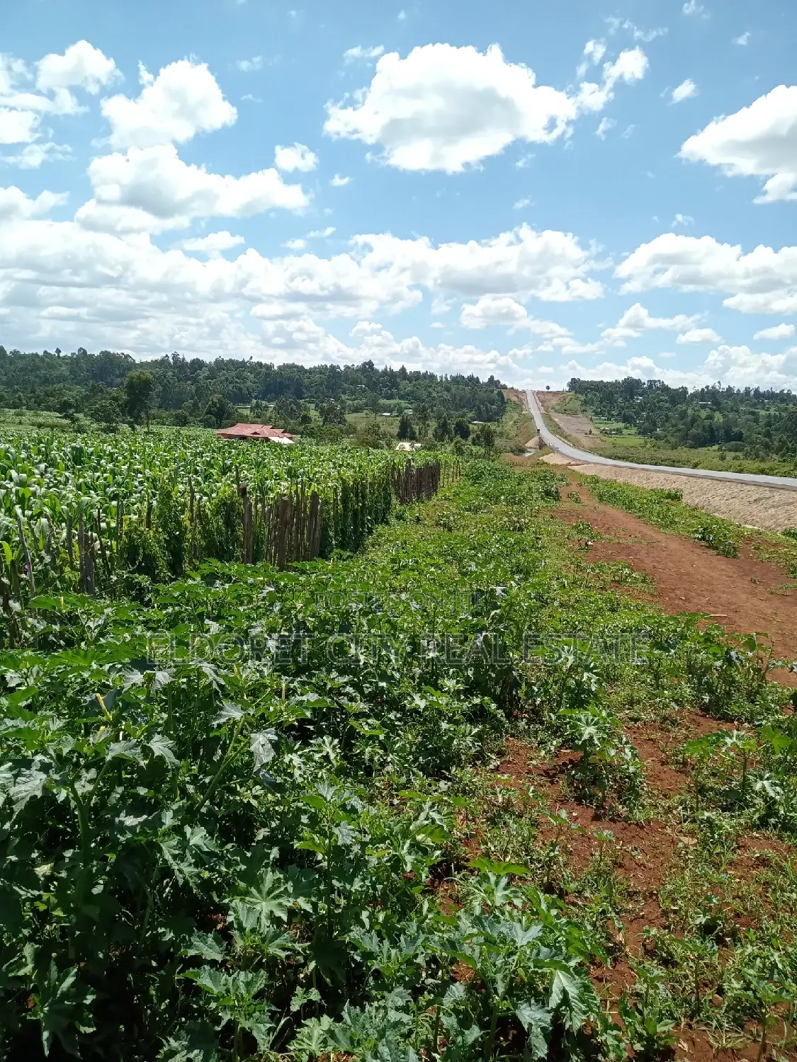 Affordable 2-Acre Land with Two Points Touching Tarmac in Kapseret in Soy