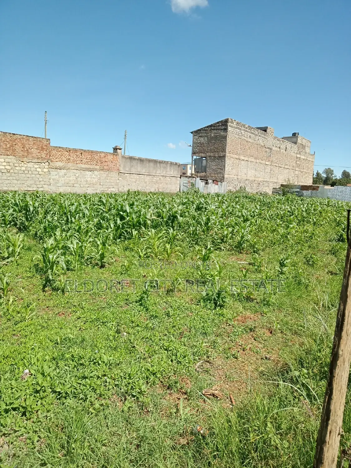 Spacious 1/8 Plot for Sale in Kimumu with Title in Soy