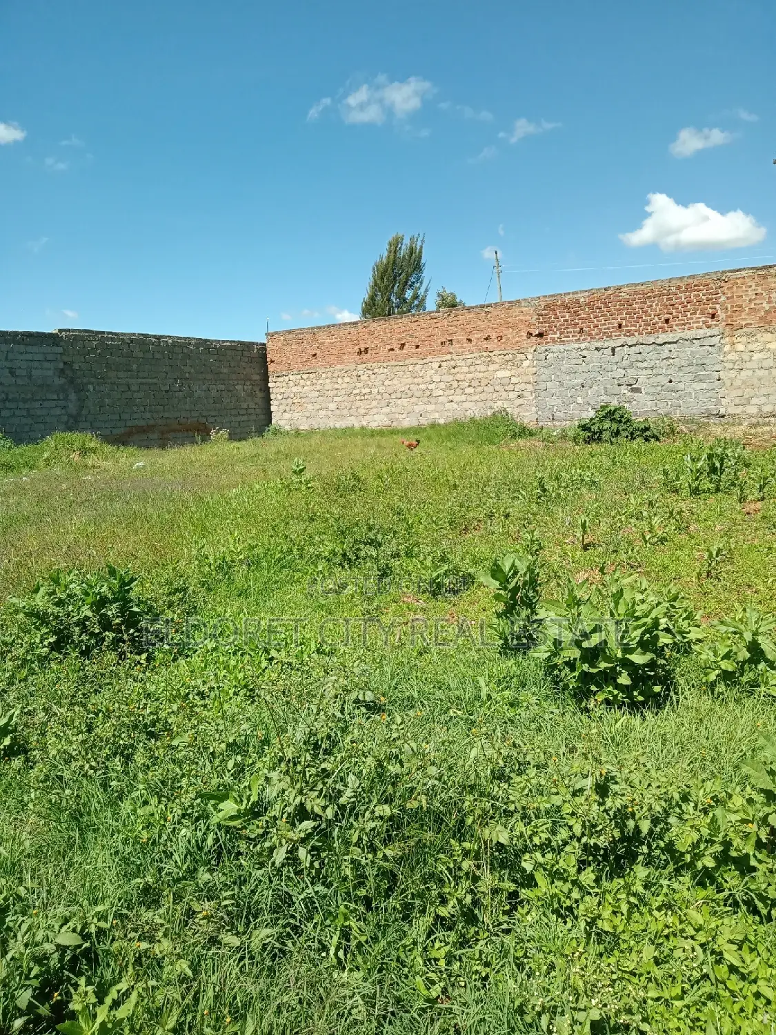 Kimumu 1/4 Plot: Perfect for Your Rental Needs in Soy