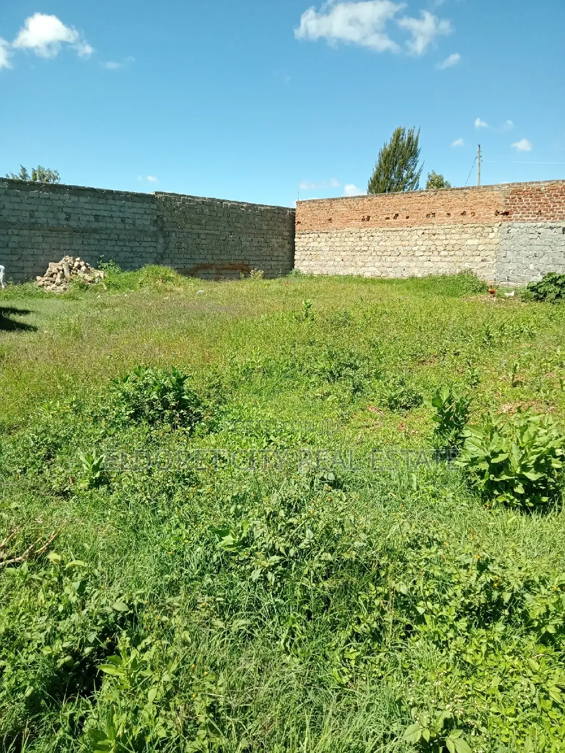 Kimumu 1/4 Plot: Perfect for Your Rental Needs in Soy