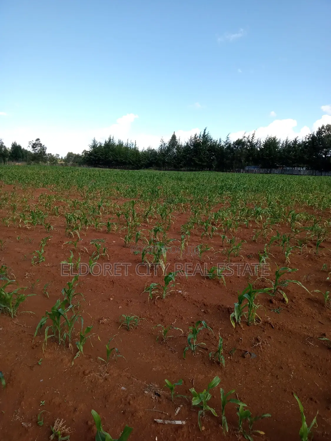 Cheplasgei 4-Acre Title - Perfect for Investment or Building in Soy