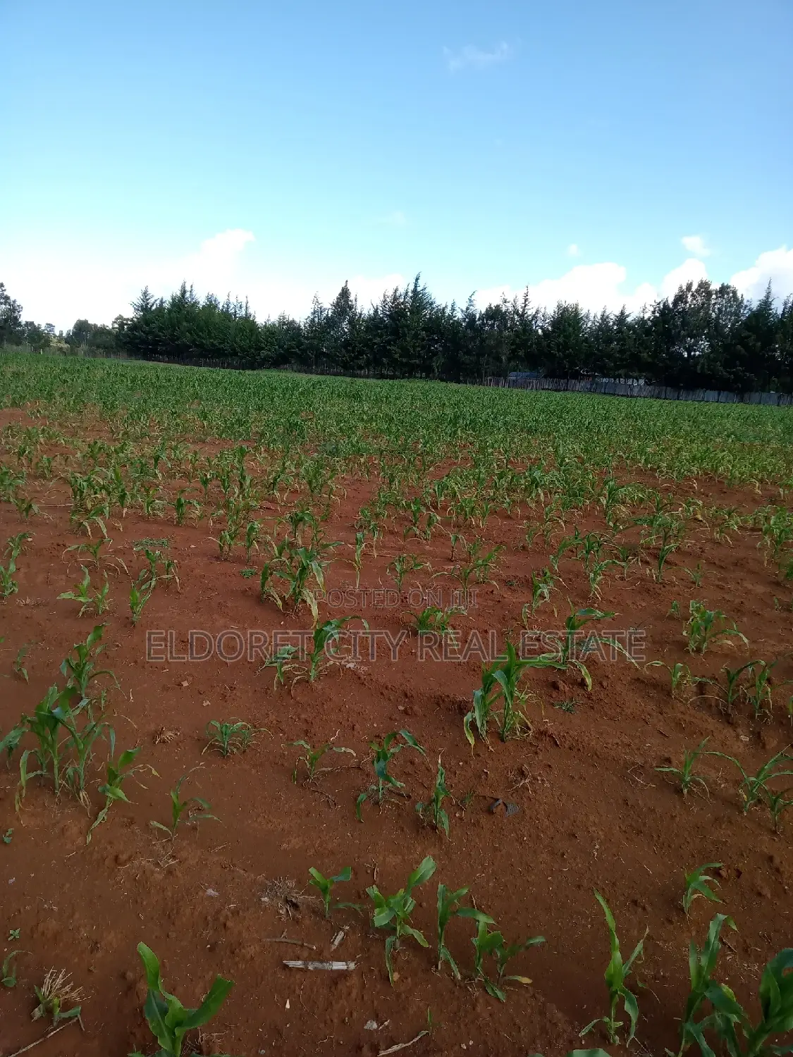 Cheplasgei 4-Acre Title - Perfect for Investment or Building in Soy