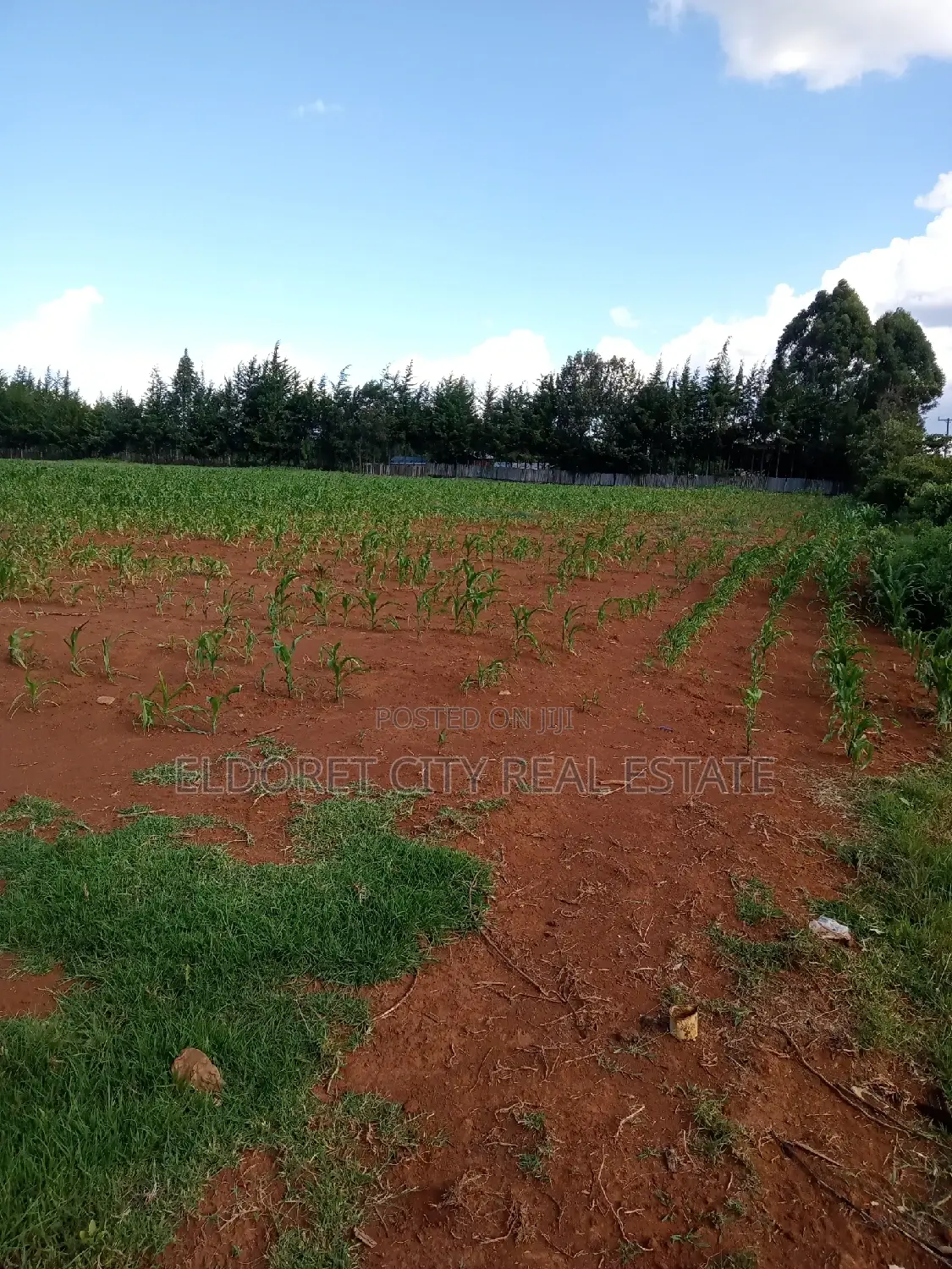 Cheplasgei 4-Acre Title - Perfect for Investment or Building in Soy