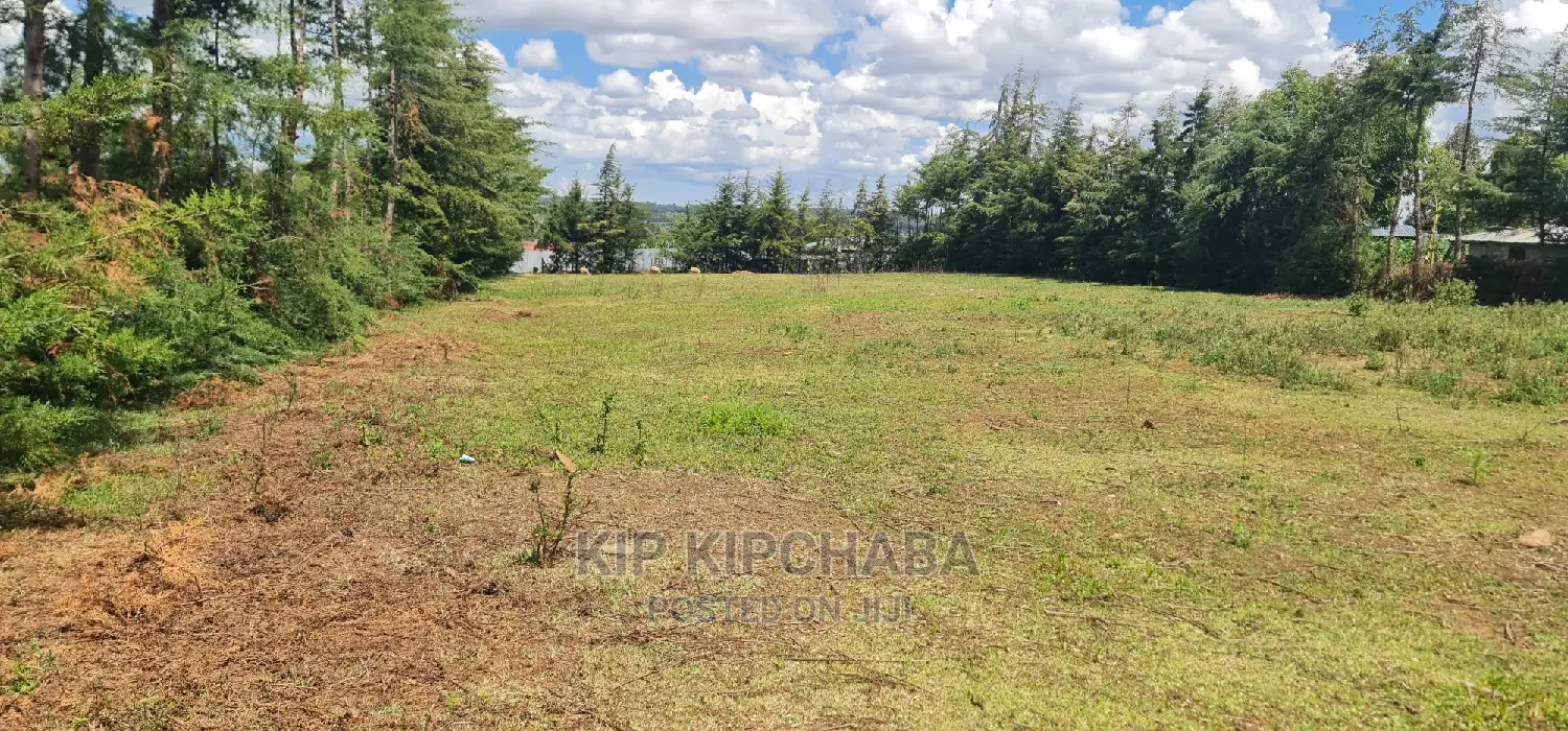 Plots for Sale in Eldoret's Exclusive Mountainview Kipkorgot in Hillside