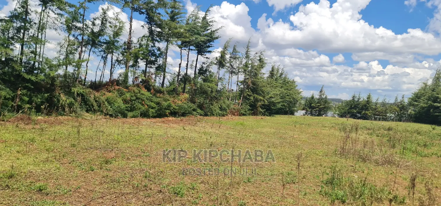 Plots for Sale in Eldoret's Exclusive Mountainview Kipkorgot in Hillside