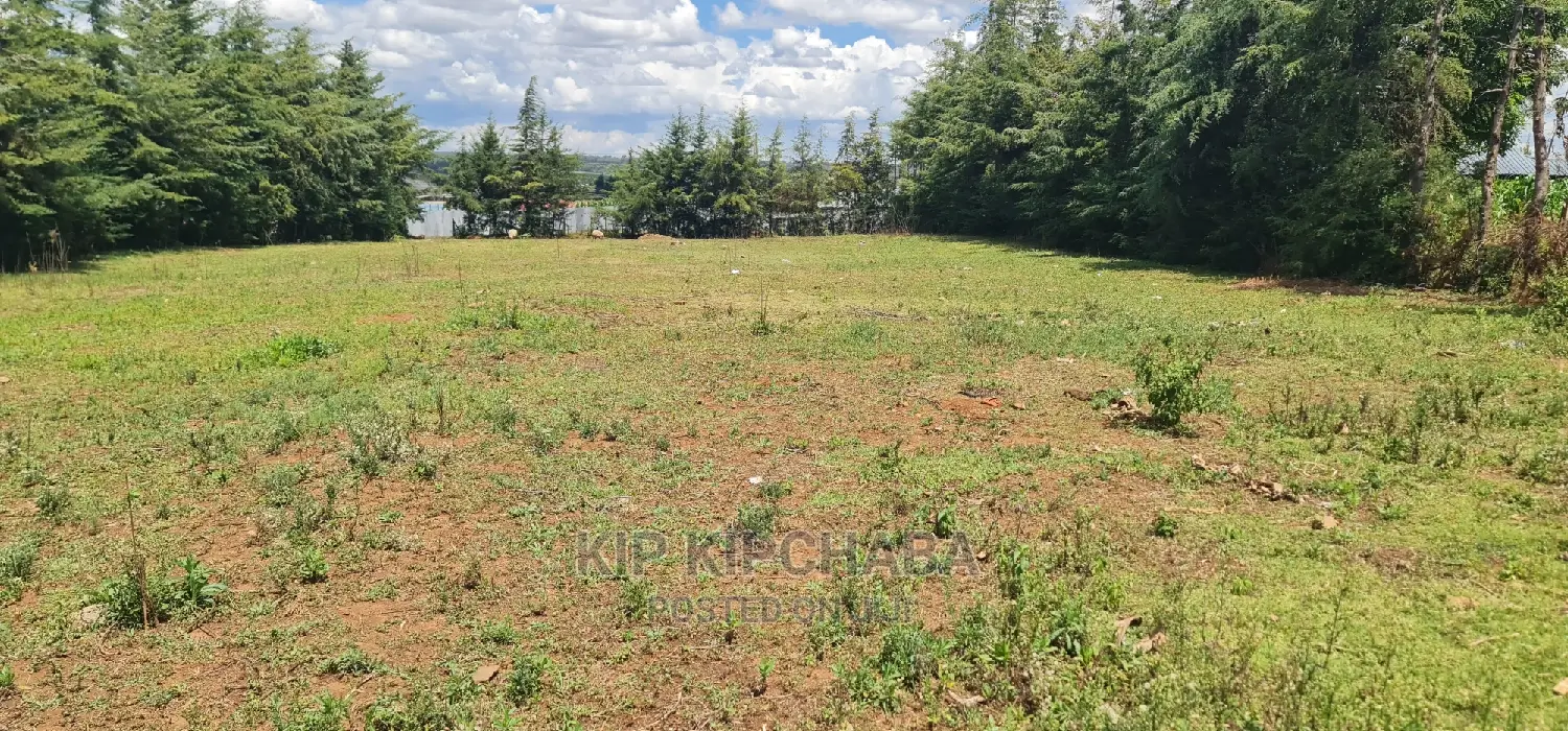 Plots for Sale in Eldoret's Exclusive Mountainview Kipkorgot in Hillside