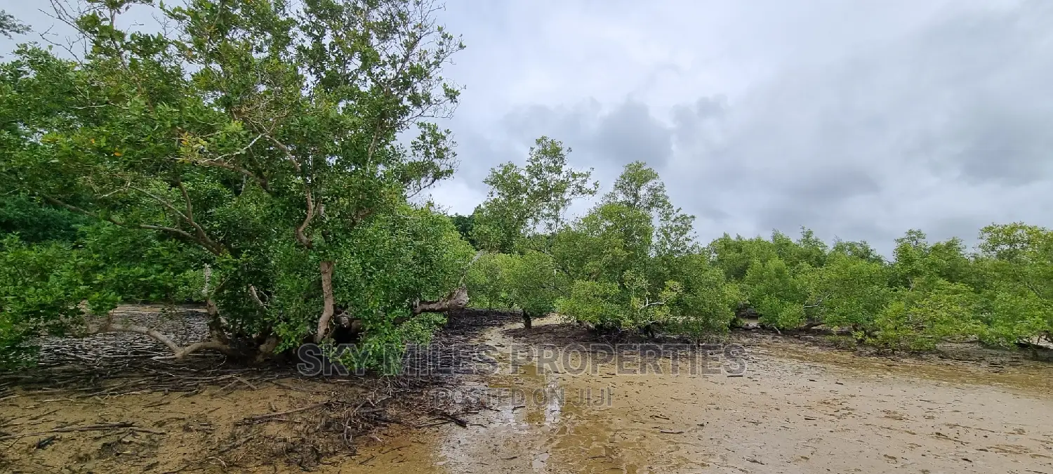 6-acre Beachfront Property for Sale: First Row Creek Beach, Mtwapa in Mtwapa