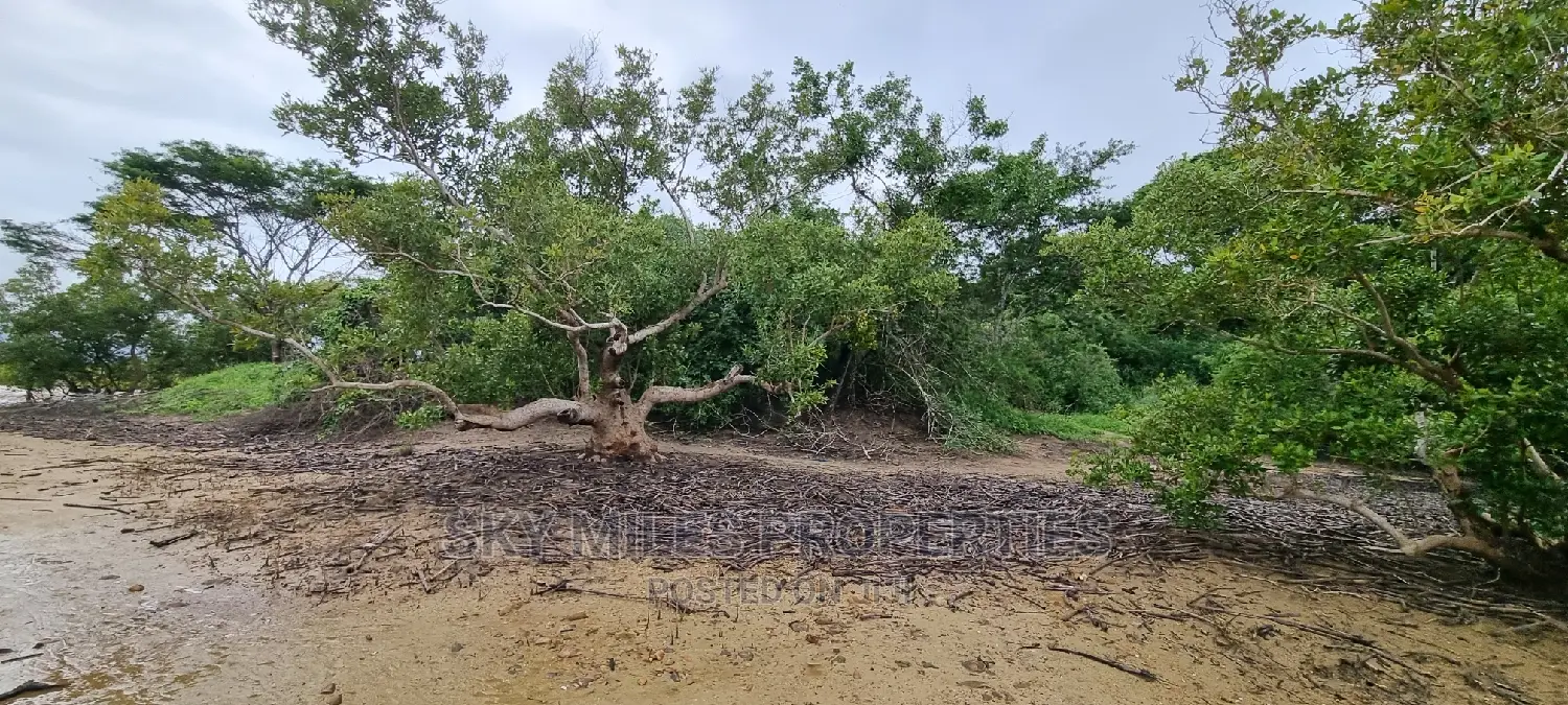6-acre Beachfront Property for Sale: First Row Creek Beach, Mtwapa in Mtwapa
