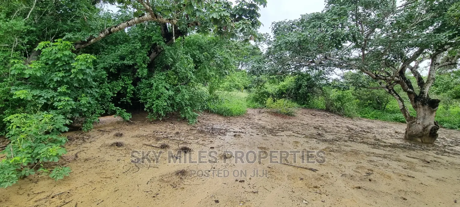 6-acre Beachfront Property for Sale: First Row Creek Beach, Mtwapa in Mtwapa