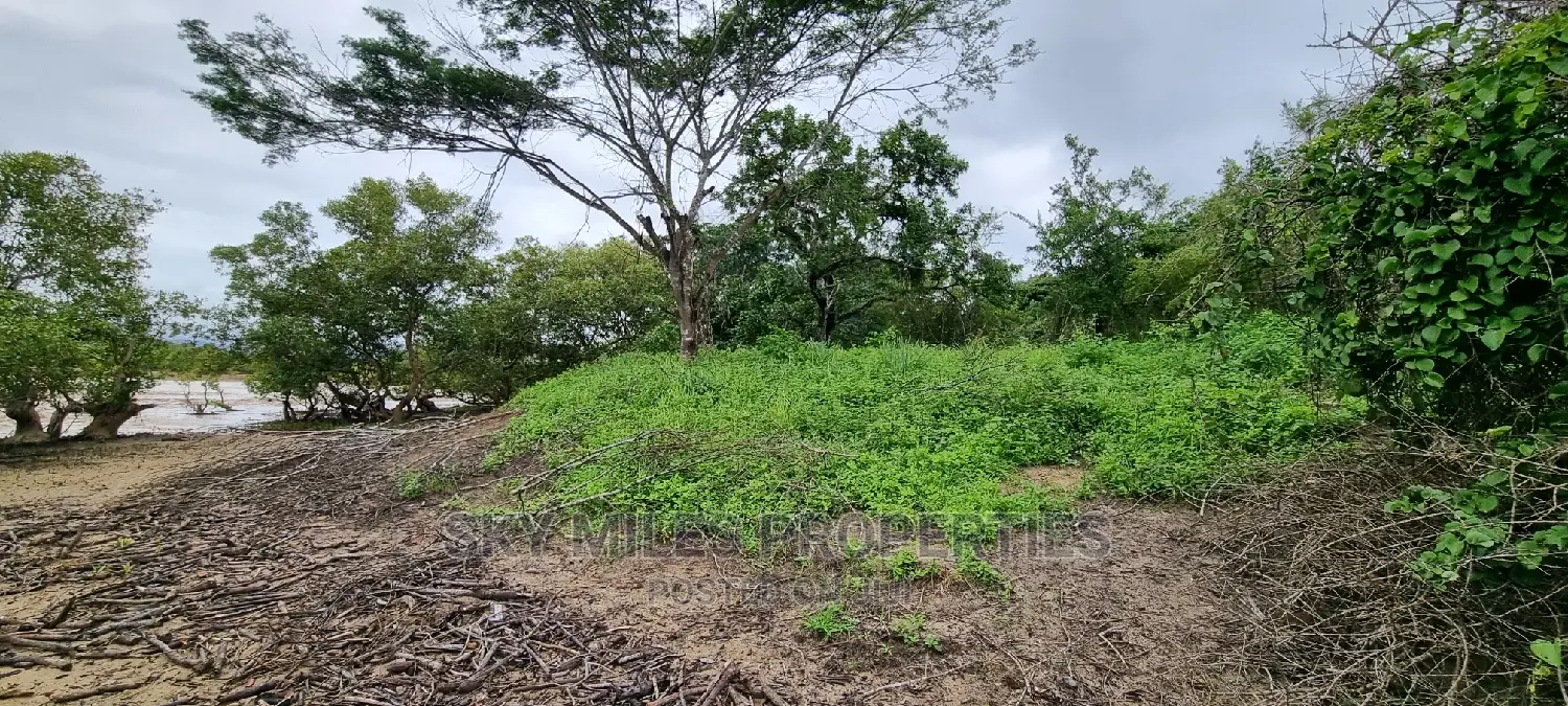 6-acre Beachfront Property for Sale: First Row Creek Beach, Mtwapa in Mtwapa