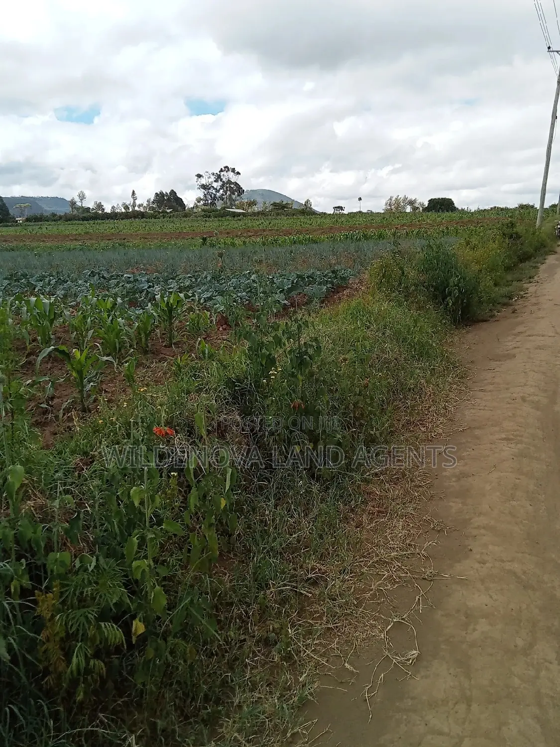 Affordable Land Sale in Naivasha Kiabogo in Naivasha