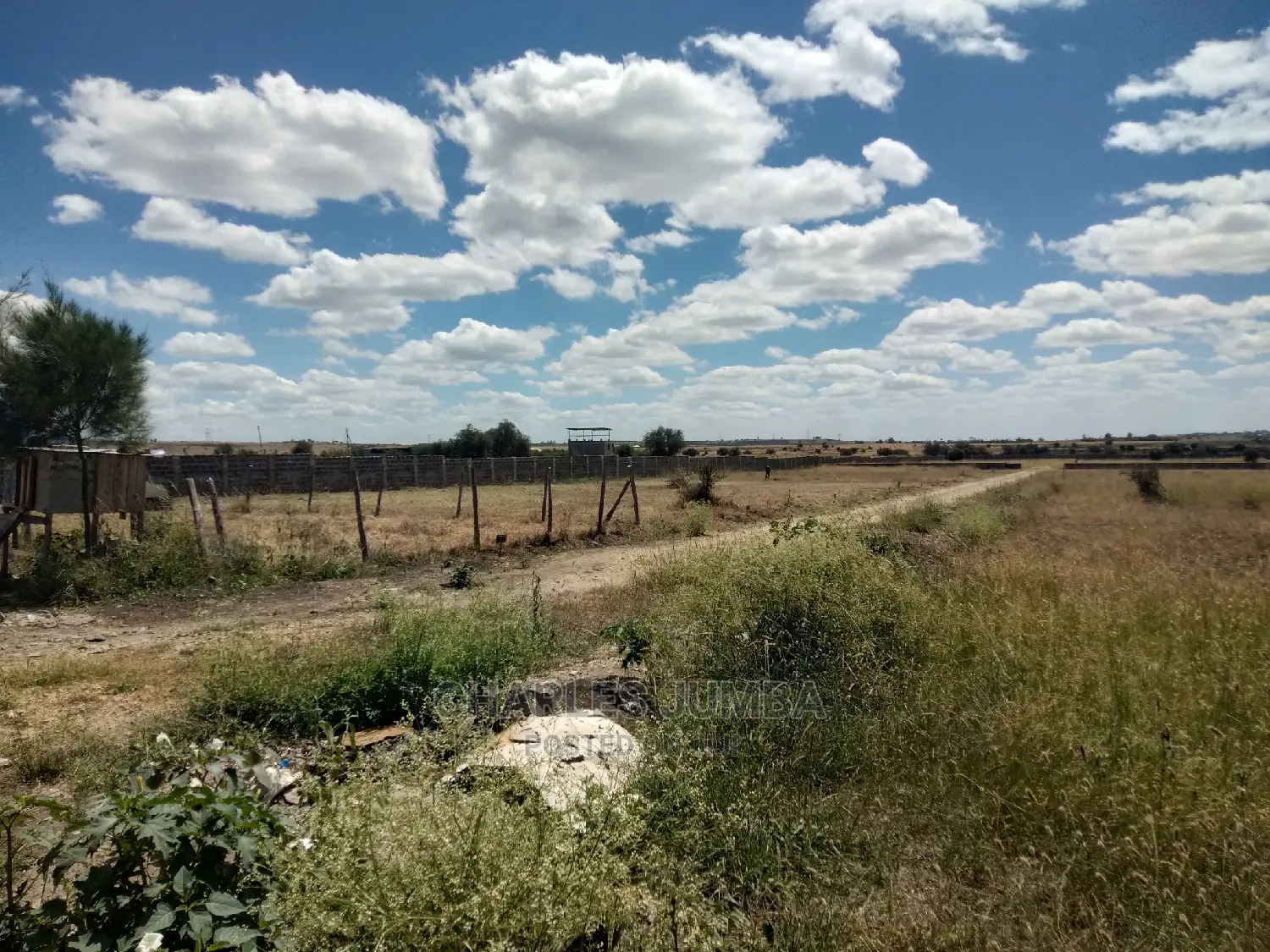 Invest in 1/8 Plots Near Ostrich Farm - Excellent Opportunity in Kitengela
