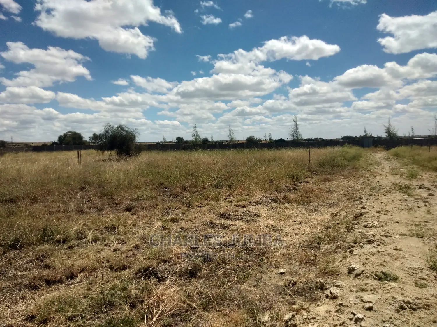Invest in 1/8 Plots Near Ostrich Farm - Excellent Opportunity in Kitengela