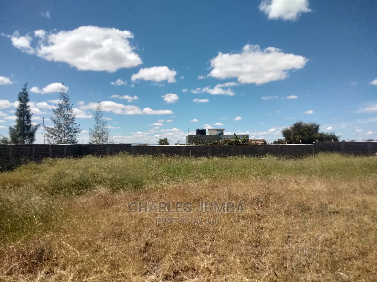 Invest in 1/8 Plots Near Ostrich Farm - Excellent Opportunity in Kitengela