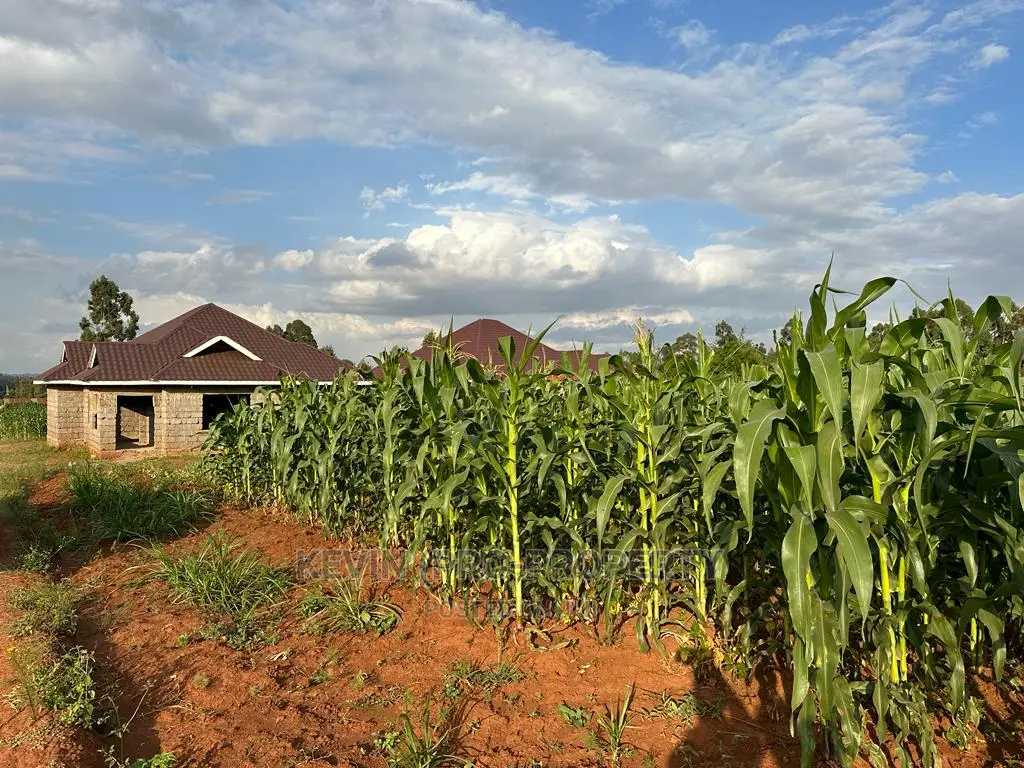 Affordable 1/8 Acre Residential Plots in Kikuyu, Rose Gate in Karai