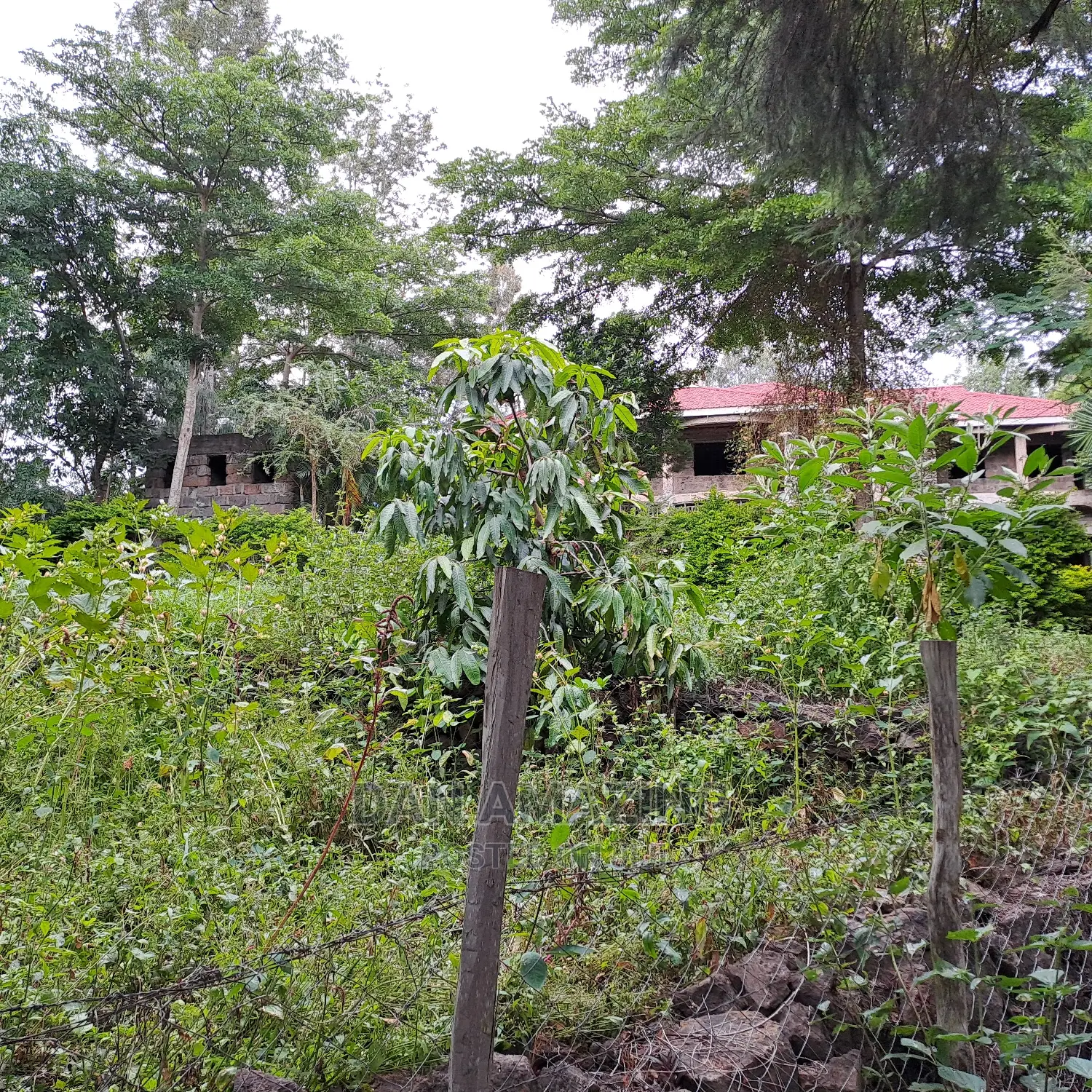 Stunning 7-bedroom Mansion in Ongata Rongai - Ready to Move In in Ongata Rongai