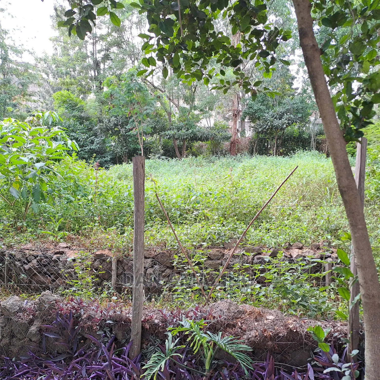 Stunning 7-bedroom Mansion in Ongata Rongai - Ready to Move In in Ongata Rongai