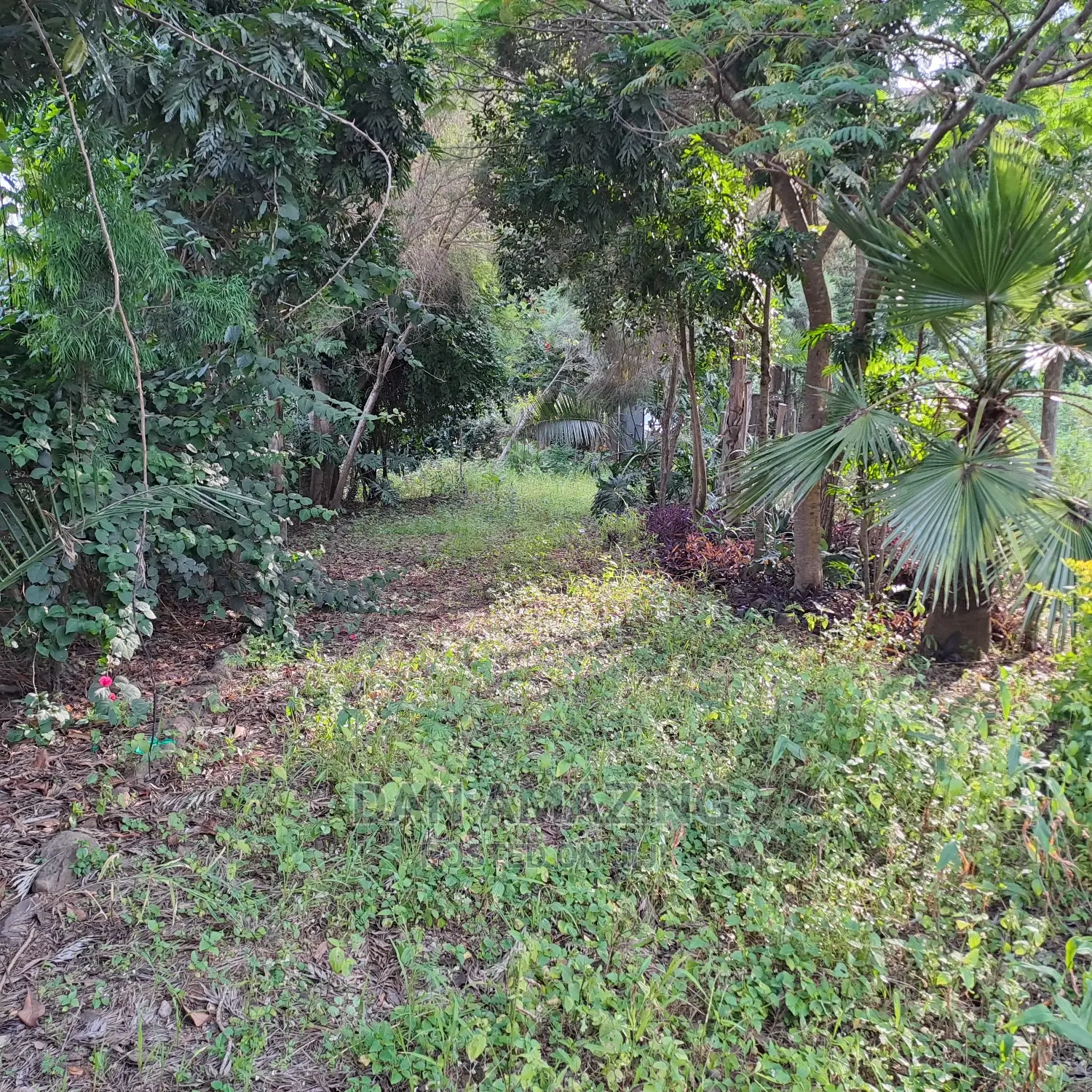 Stunning 7-bedroom Mansion in Ongata Rongai - Ready to Move In in Ongata Rongai