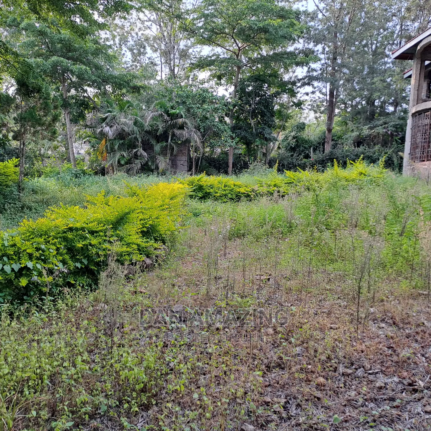 Stunning 7-bedroom Mansion in Ongata Rongai - Ready to Move In in Ongata Rongai