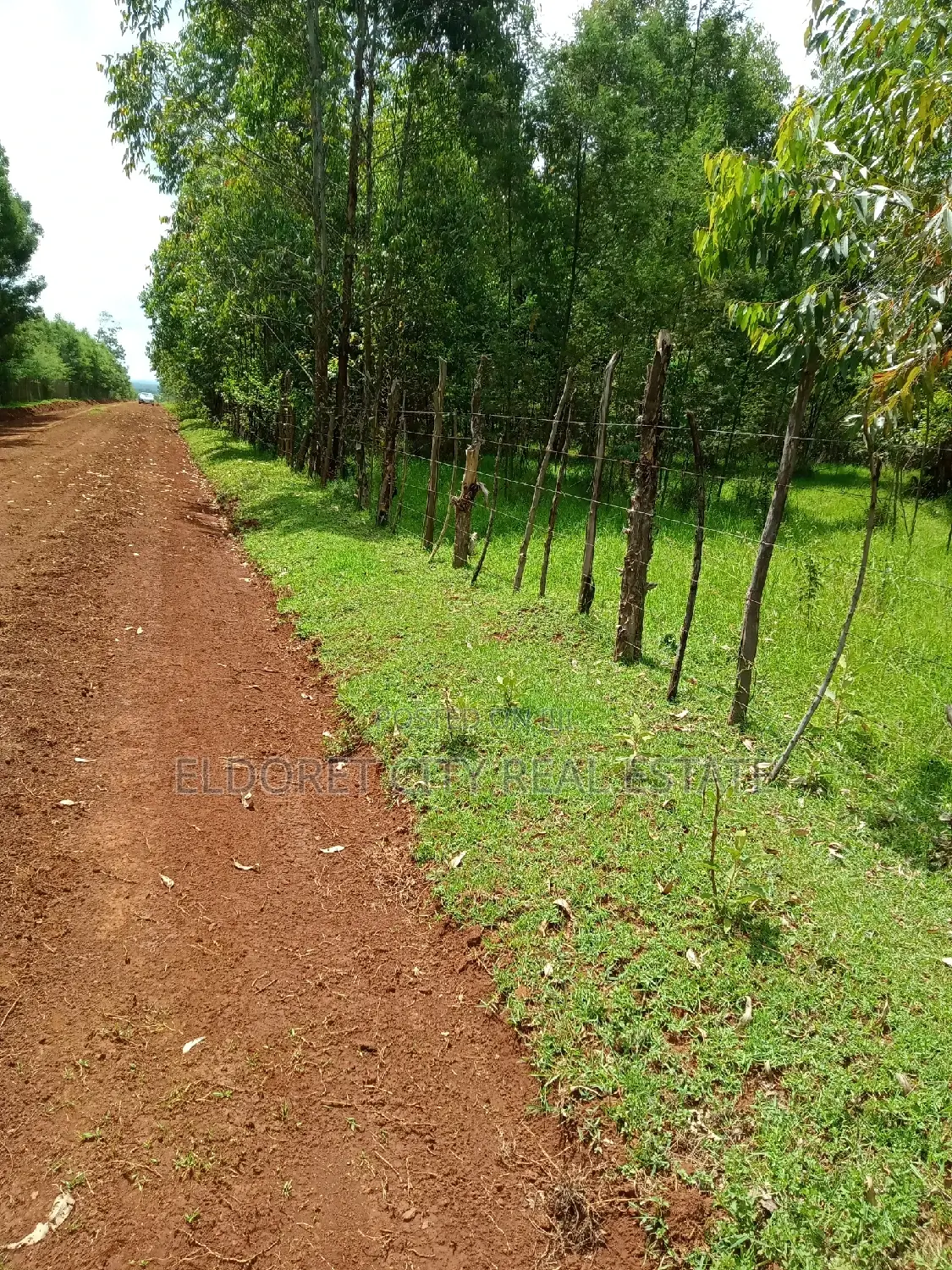 Selling 15 Acres of Land in Ngara, Nandi County - Farming Opportunity in Soy