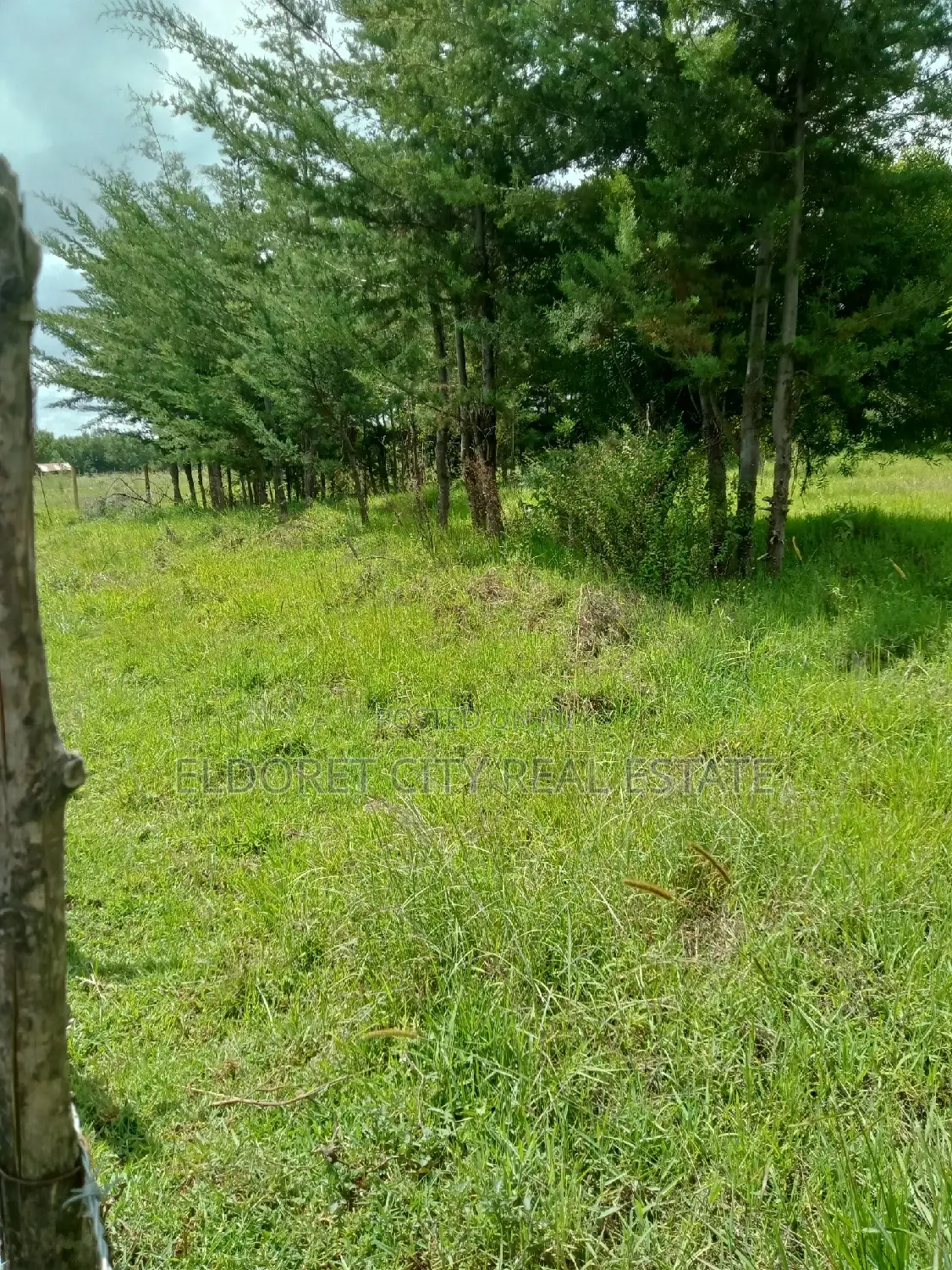 Selling 15 Acres of Land in Ngara, Nandi County - Farming Opportunity in Soy