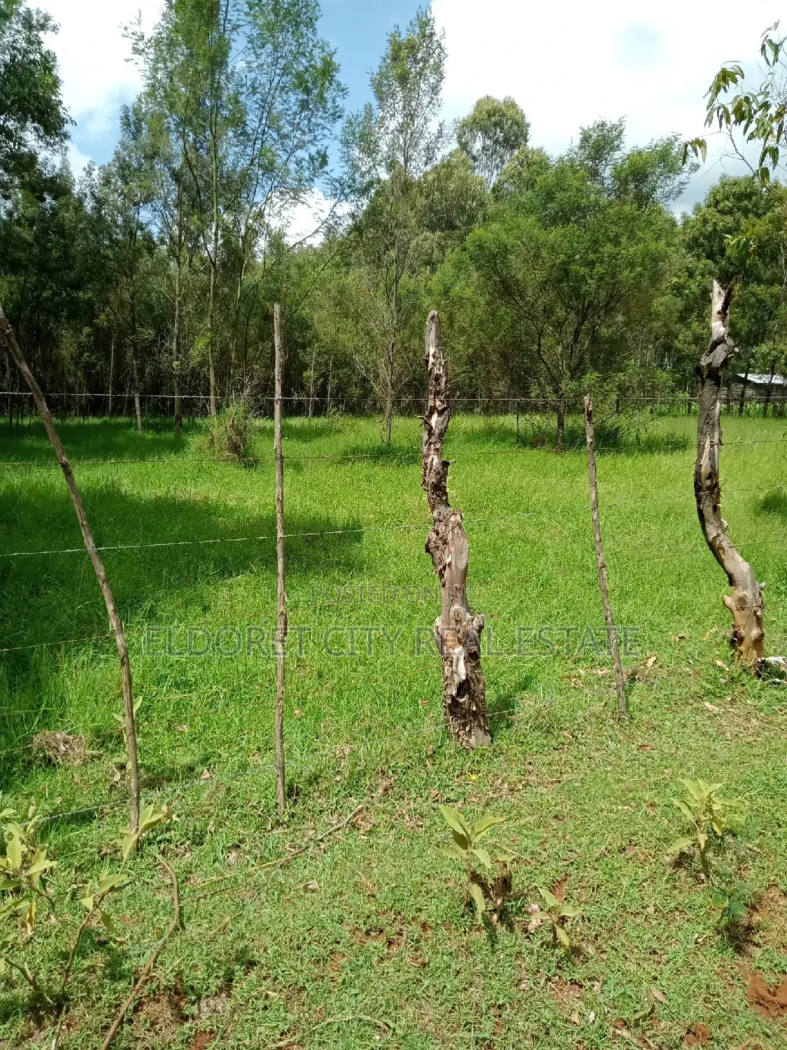 Selling 15 Acres of Land in Ngara, Nandi County - Farming Opportunity in Soy
