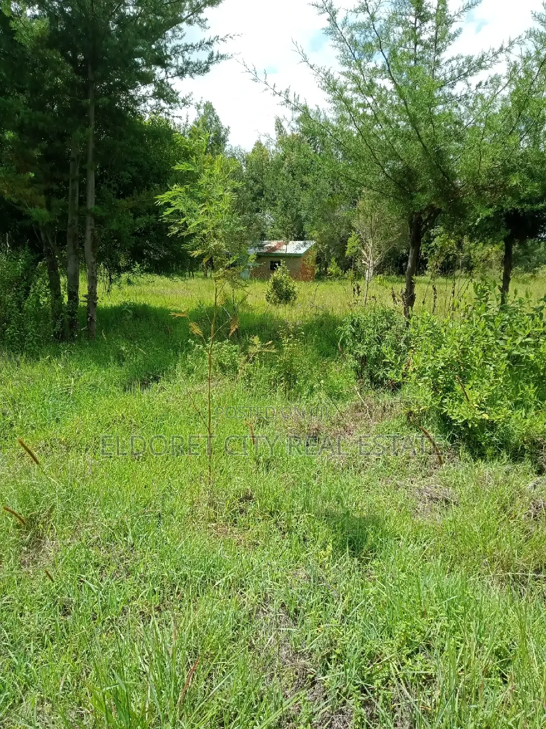 Selling 15 Acres of Land in Ngara, Nandi County - Farming Opportunity in Soy