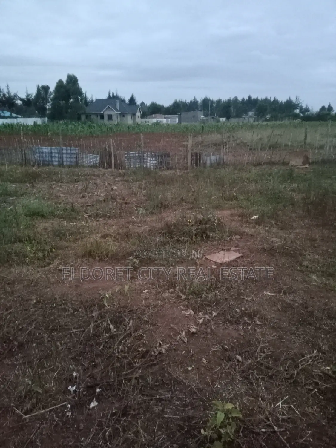 Ilula 1/8 Plot - Close Proximity to Tarmac (198m) in Soy