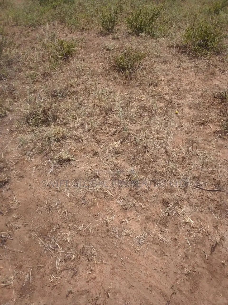 Mulili Land Opportunity: 2 Acres Along Makindu-Wote Road for Sale in Makindu