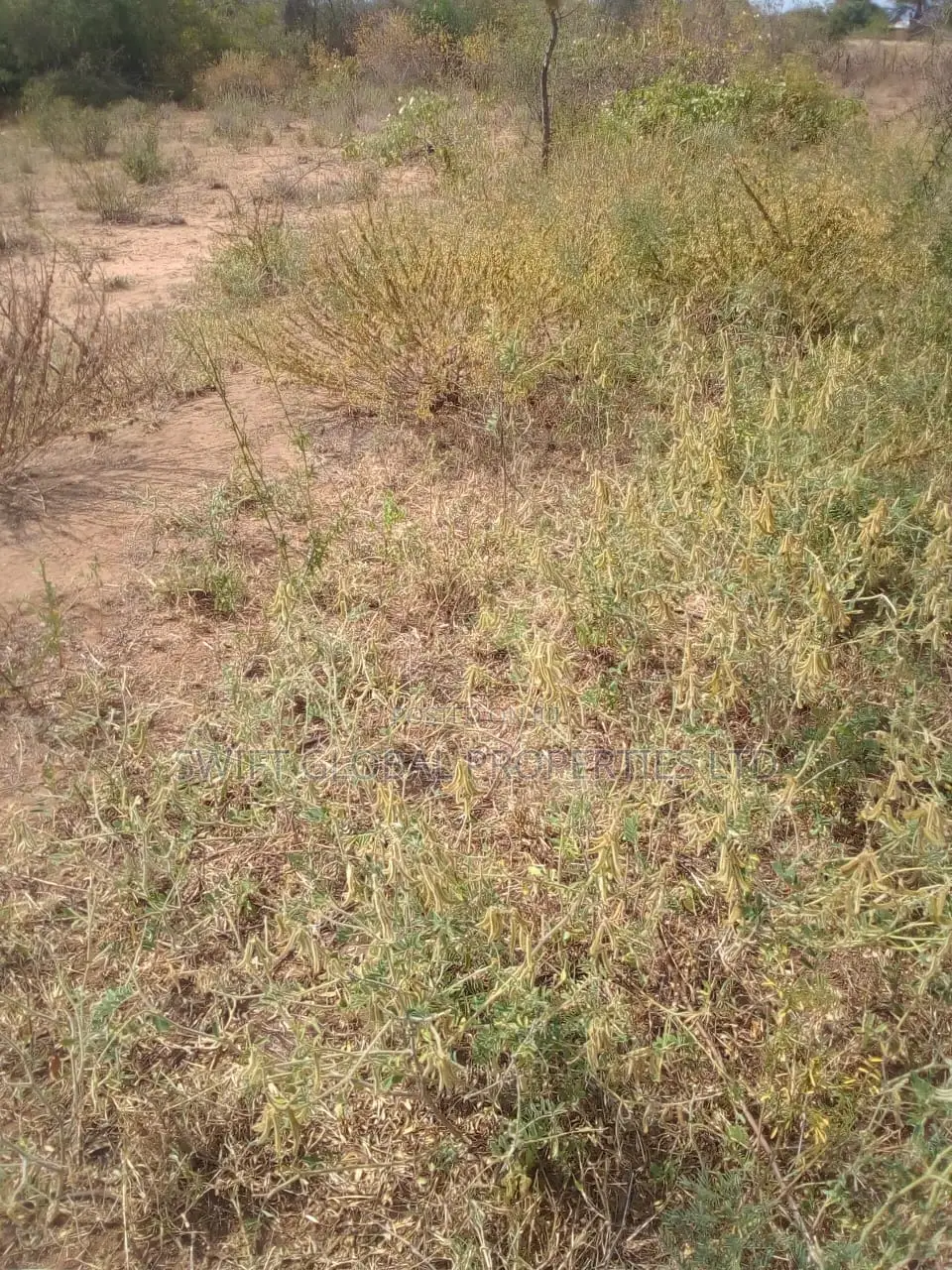 Mulili Land Opportunity: 2 Acres Along Makindu-Wote Road for Sale in Makindu