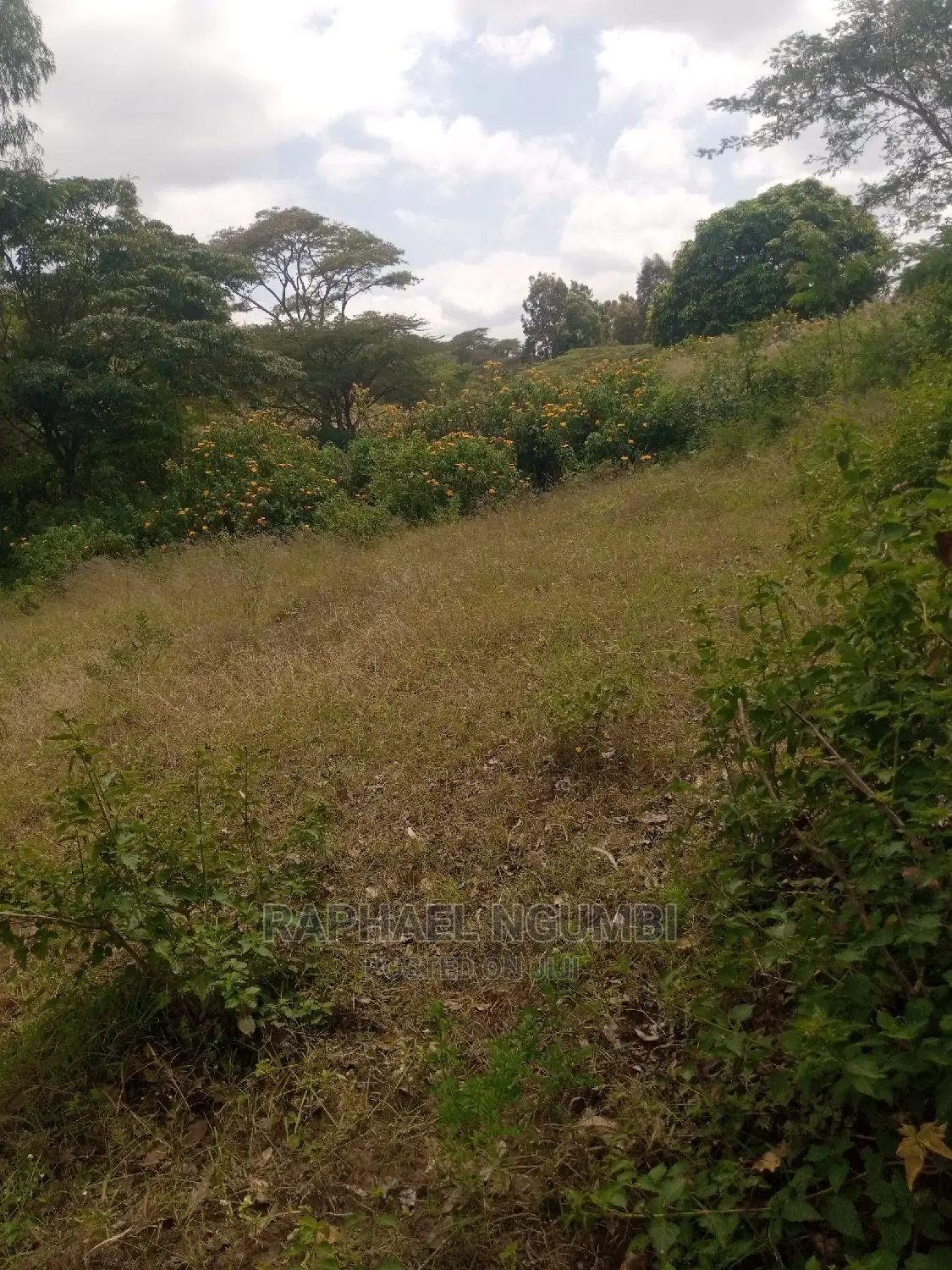 Spacious Half-Acre Plot in Machakos Town Kariobangi - Ideal Investment Opportunity in Machakos Town