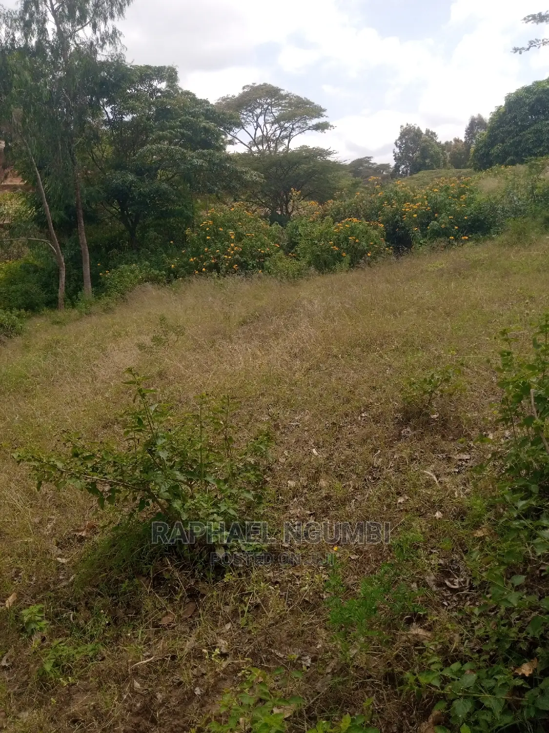 Spacious Half-Acre Plot in Machakos Town Kariobangi - Ideal Investment Opportunity in Machakos Town
