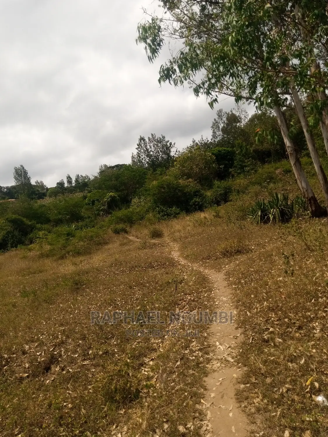 Spacious Half-Acre Plot in Machakos Town Kariobangi - Ideal Investment Opportunity in Machakos Town