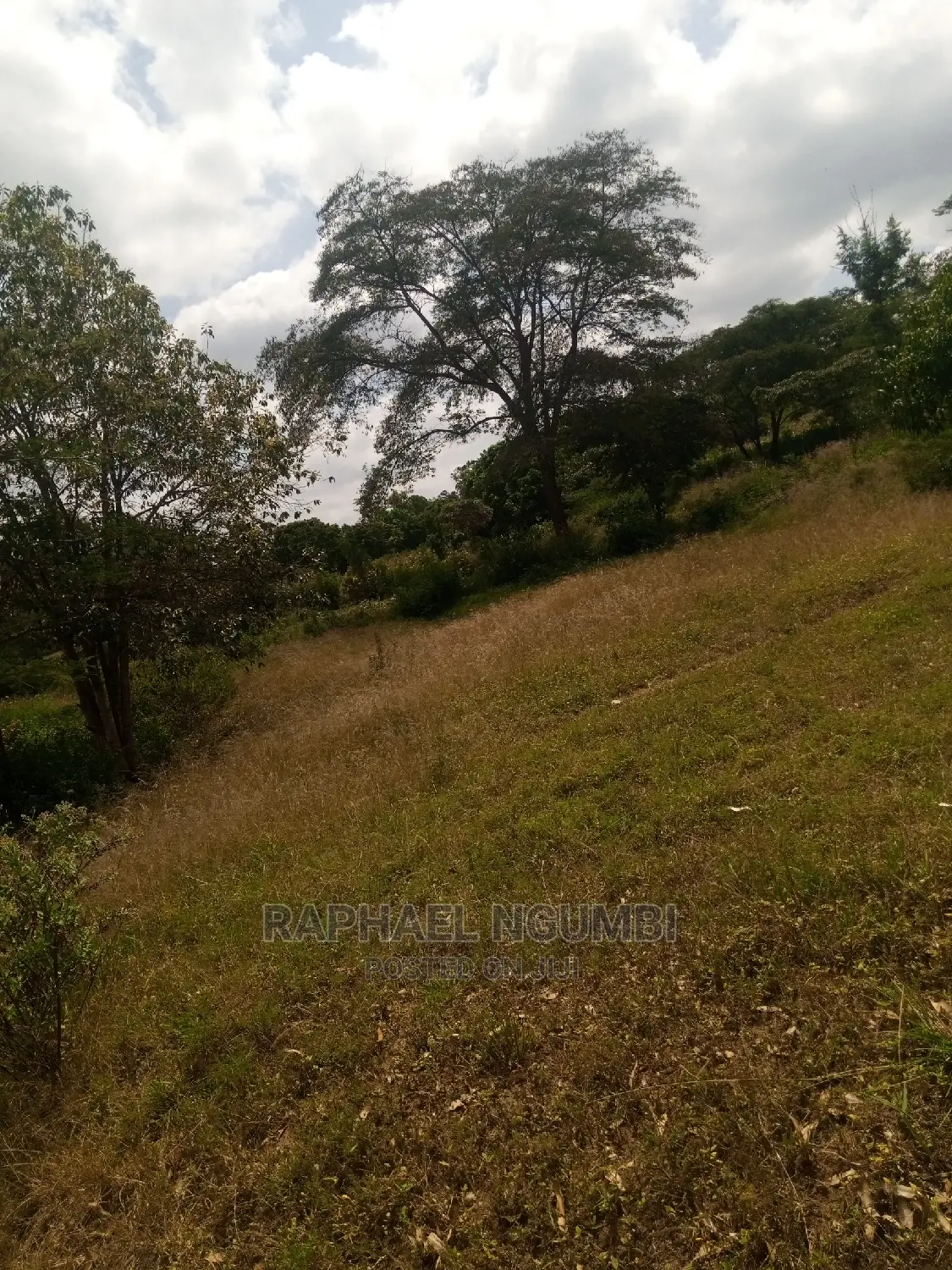 Spacious Half-Acre Plot in Machakos Town Kariobangi - Ideal Investment Opportunity in Machakos Town