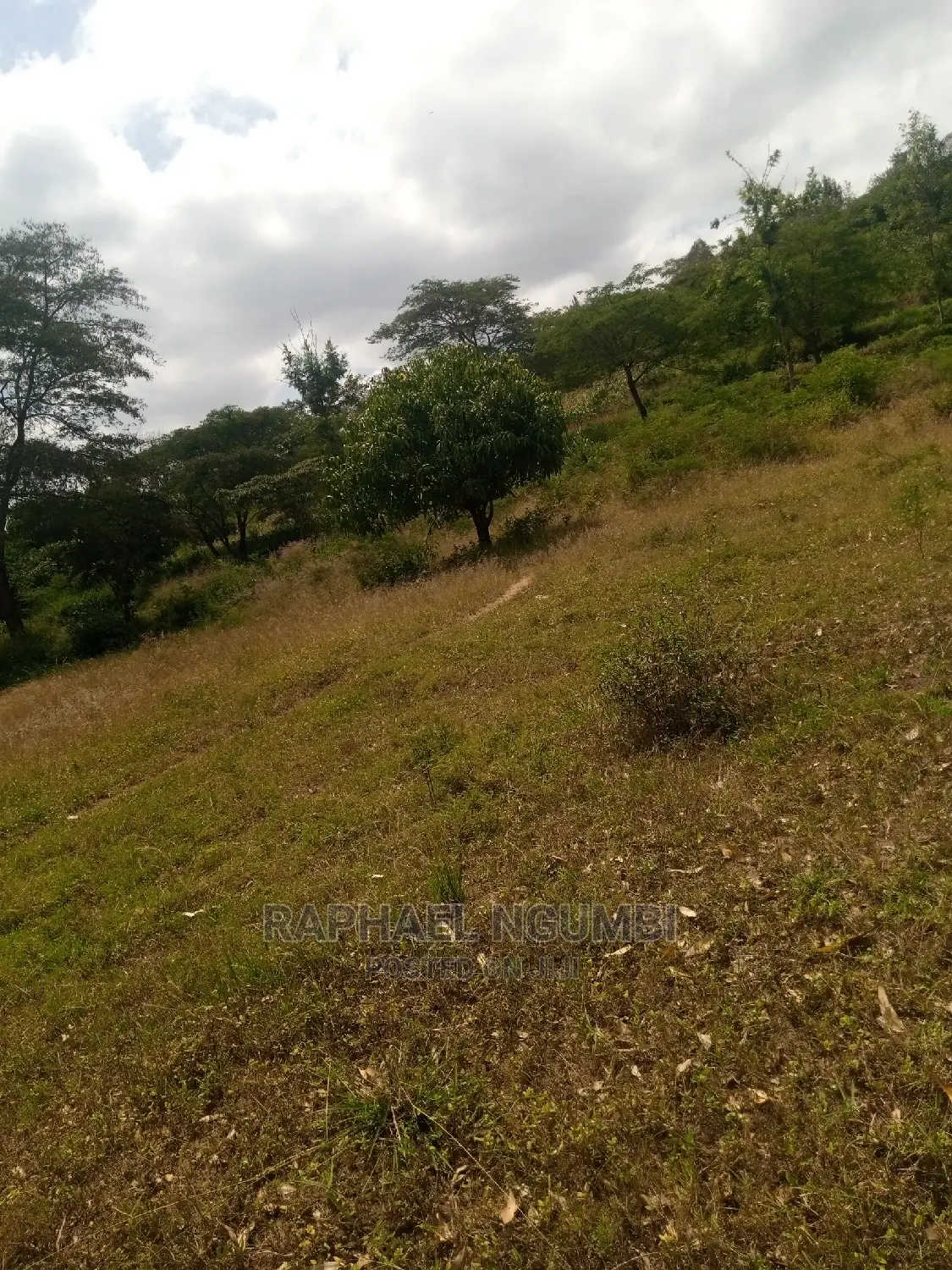 Spacious Half-Acre Plot in Machakos Town Kariobangi - Ideal Investment Opportunity in Machakos Town