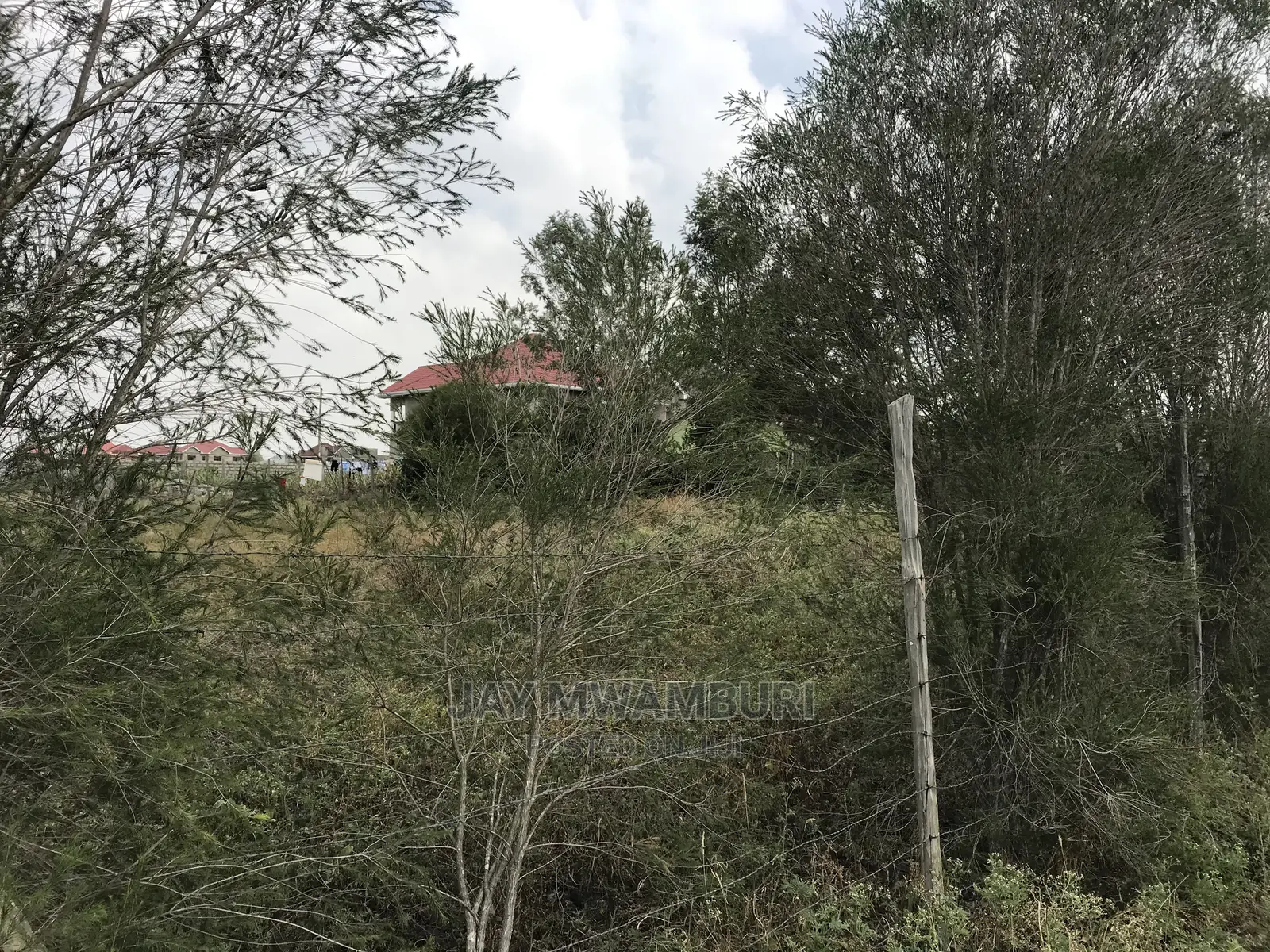 100 By100 Plot Katani in Katani