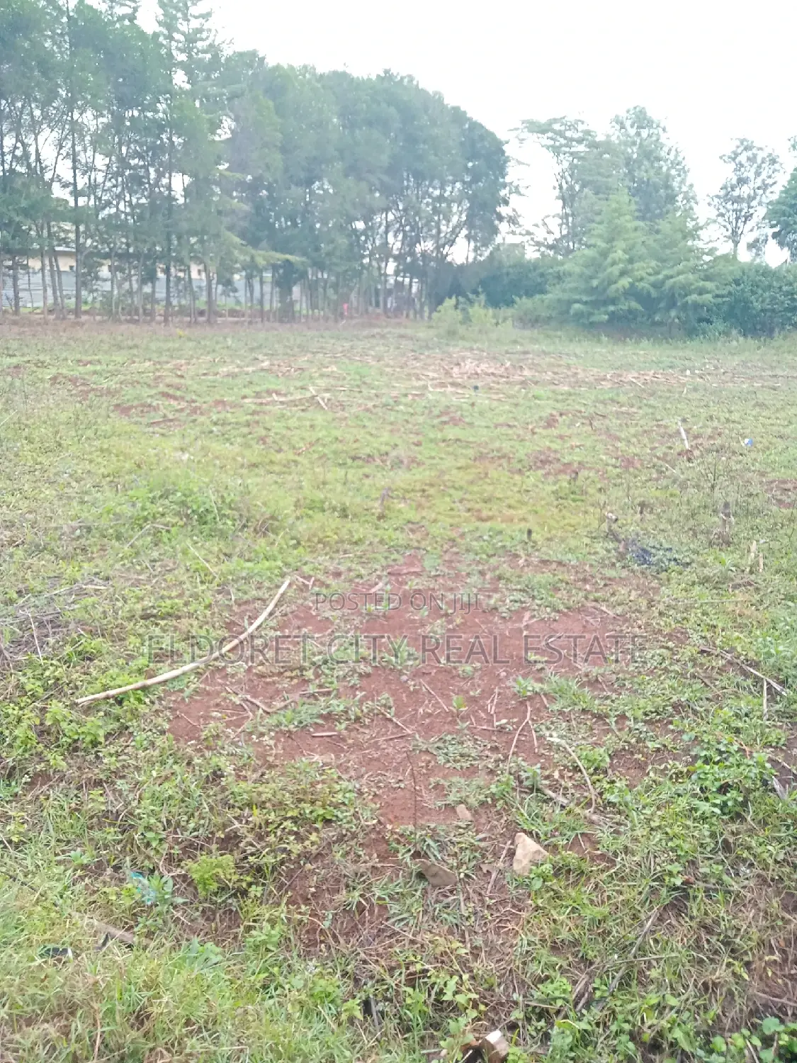 Kapsoya 1/4 Acre Land - Title Secured - Ideal for Residential Project in Eldoret CBD