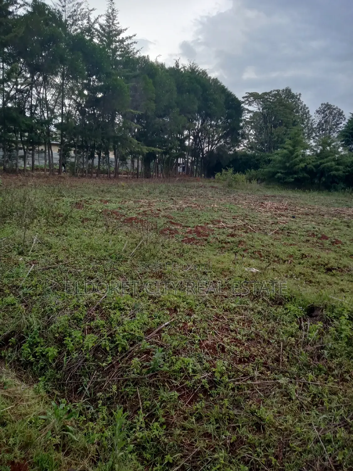 Kapsoya 1/8 Plot: Close to Tarmac, Perfect Location in Eldoret CBD