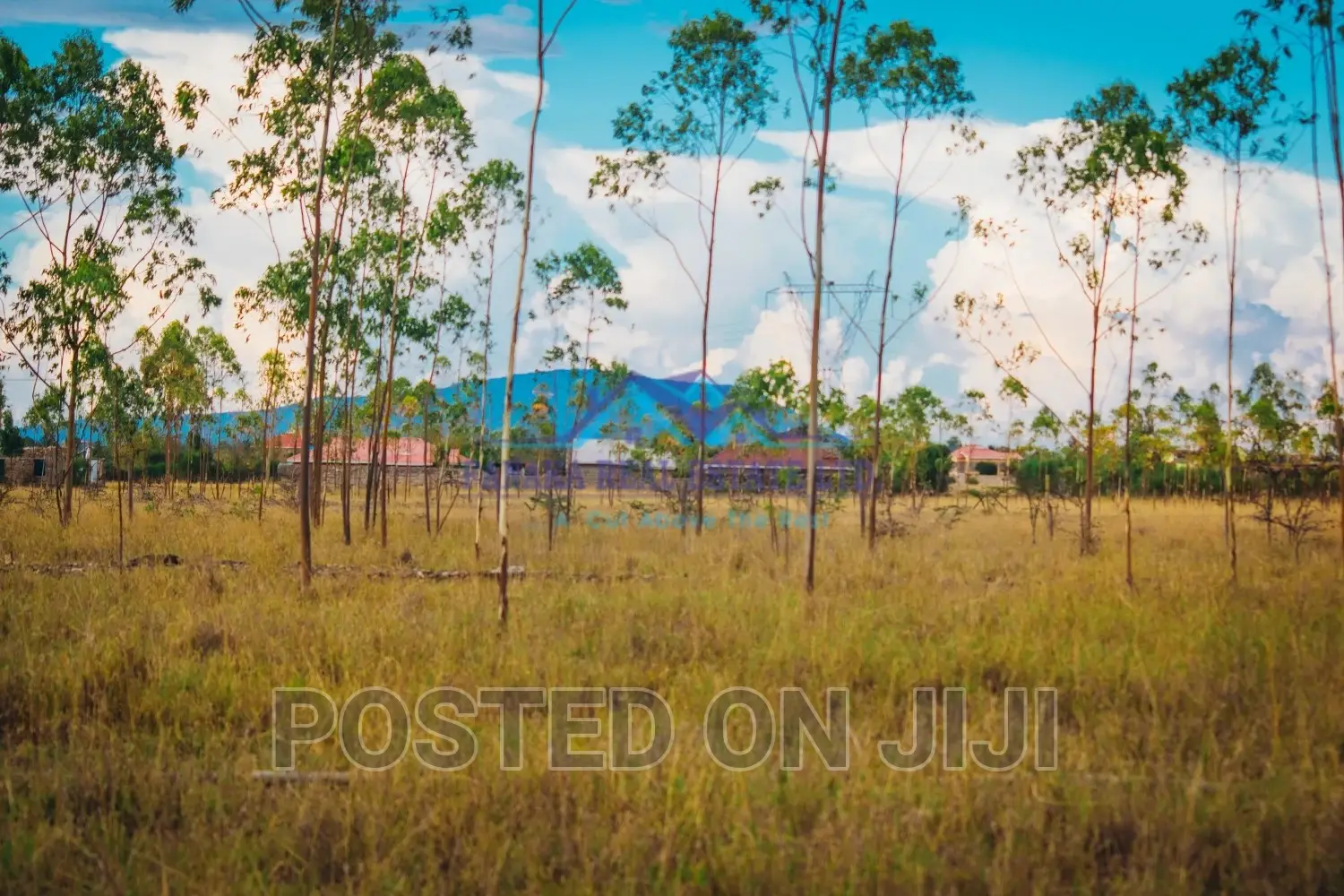 Tupo Site Kamulu Na Mw^ in Kamulu