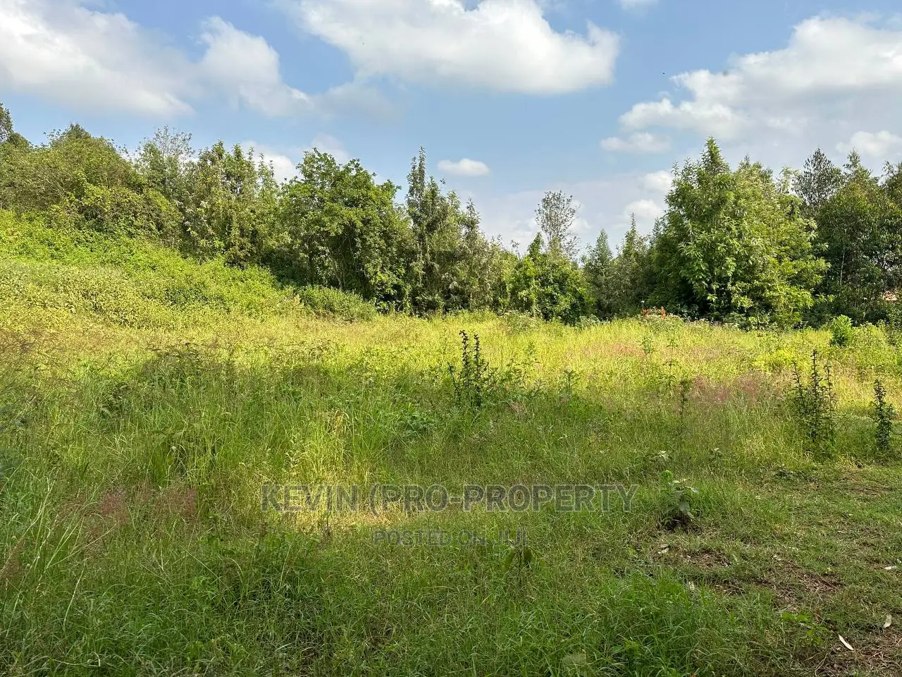 Spacious Residential Plot Available in Kikuyu, Ondiri-Kiambu County in Karai
