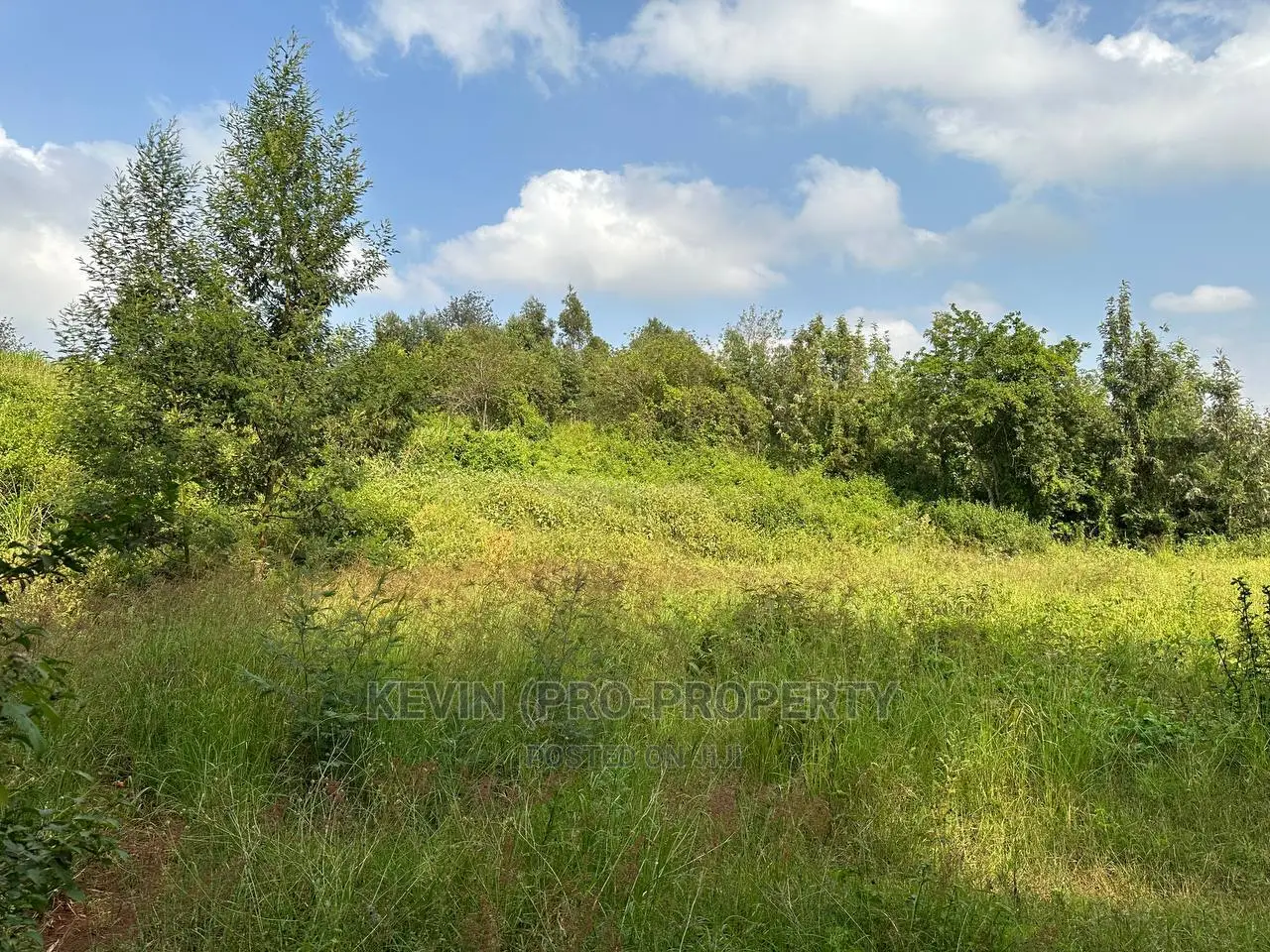 Spacious Residential Plot Available in Kikuyu, Ondiri-Kiambu County in Karai