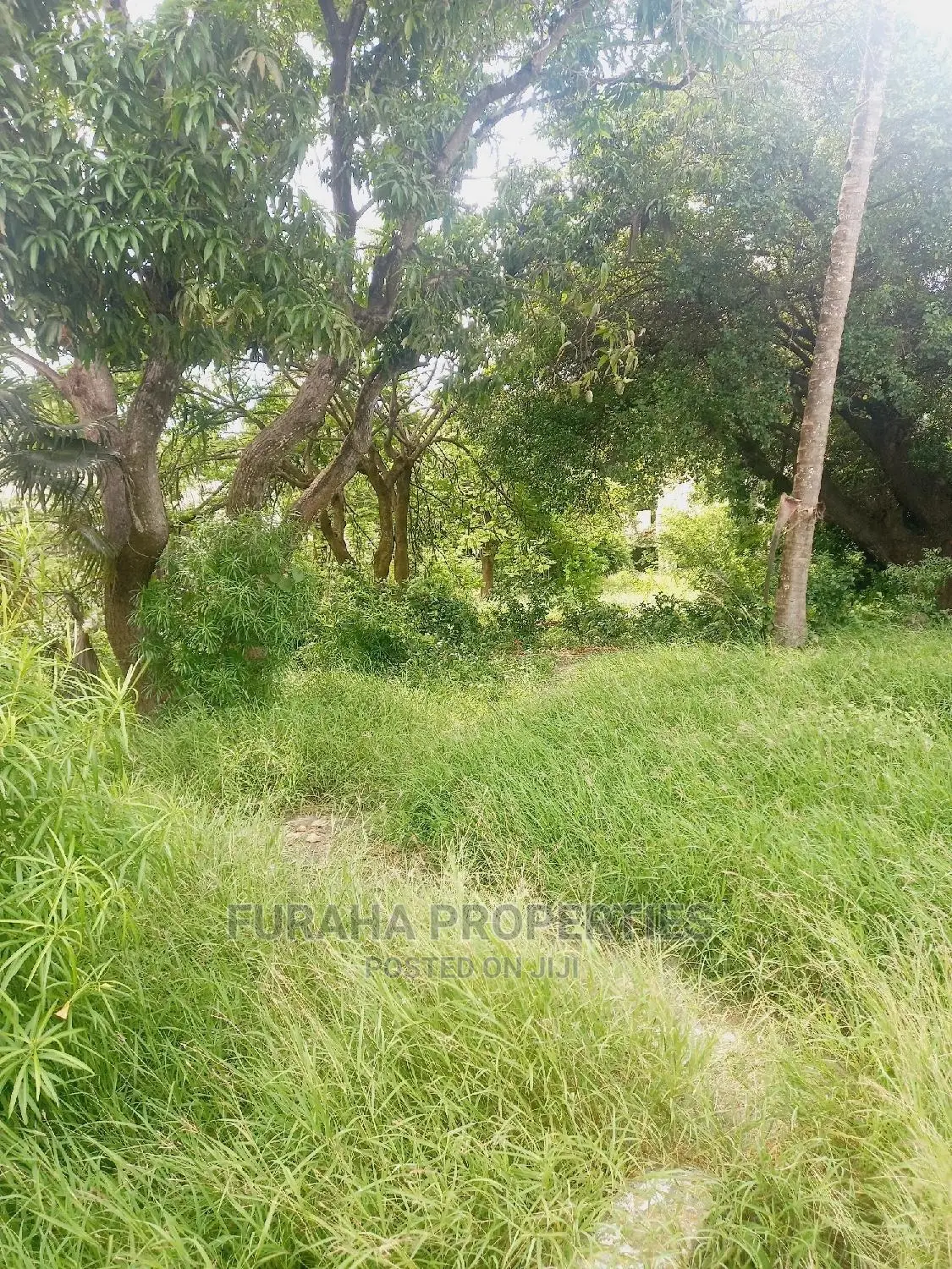 Commercial Plot Sale in Malindi: Prime Location in Malindi