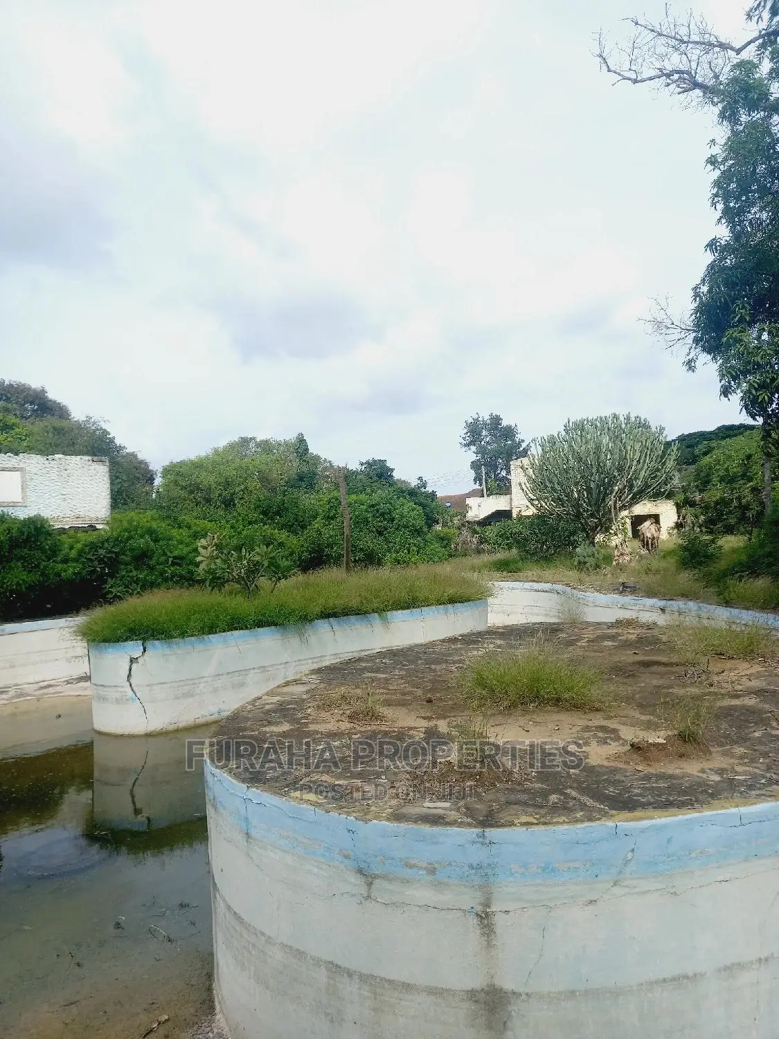 Commercial Plot Sale in Malindi: Prime Location in Malindi