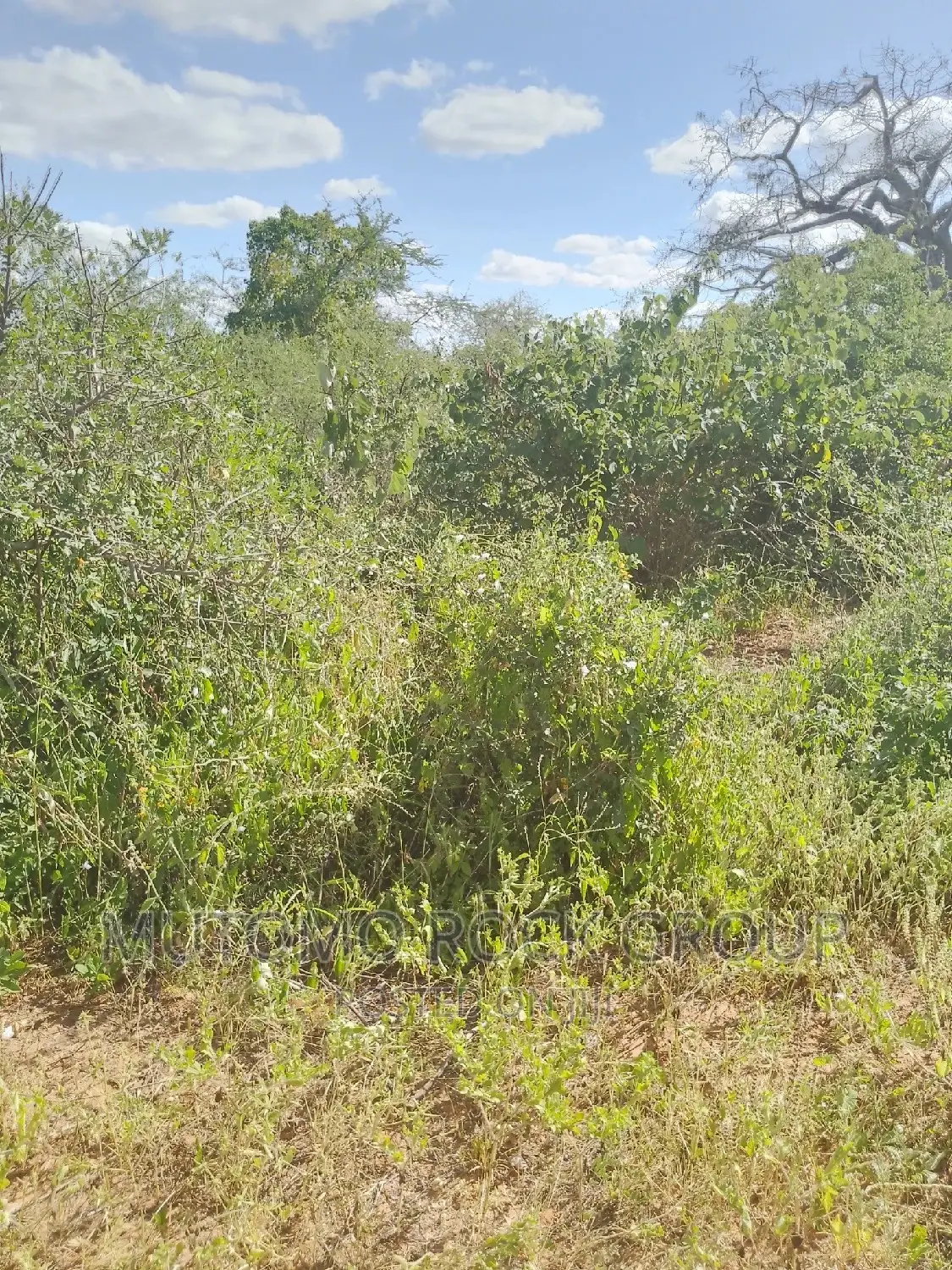 500acres for Sale in Mutomo