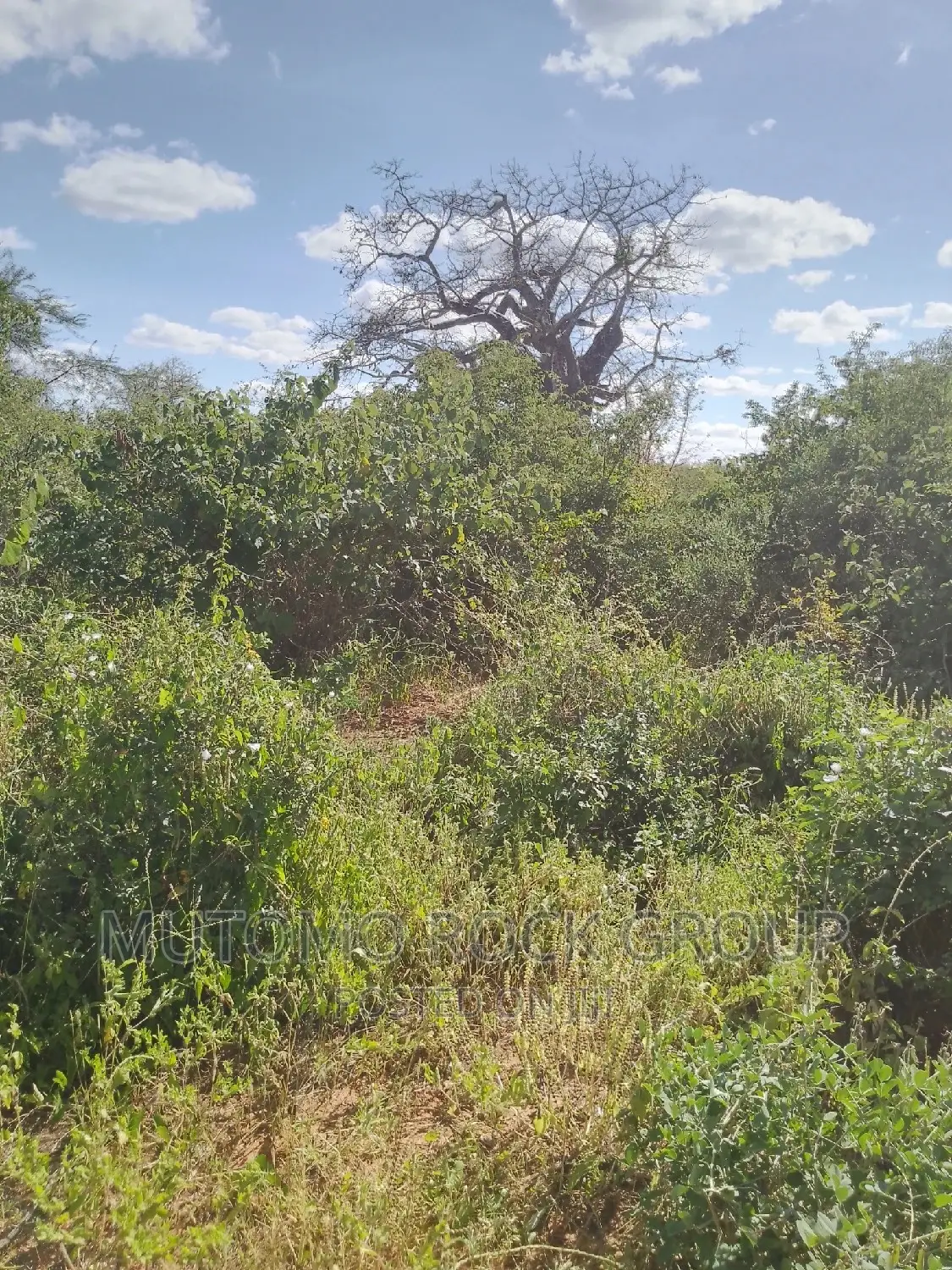 500acres for Sale in Mutomo