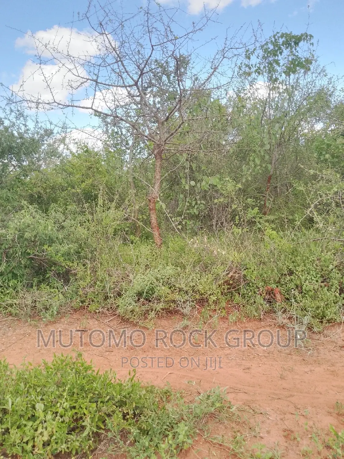 300acres for Sale in Mutomo