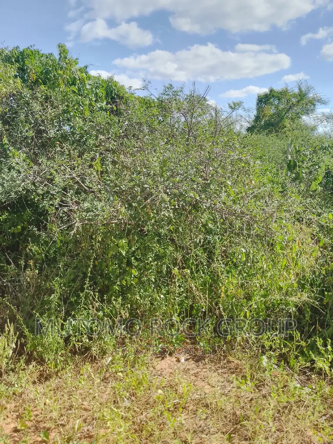 300acres for Sale in Mutomo