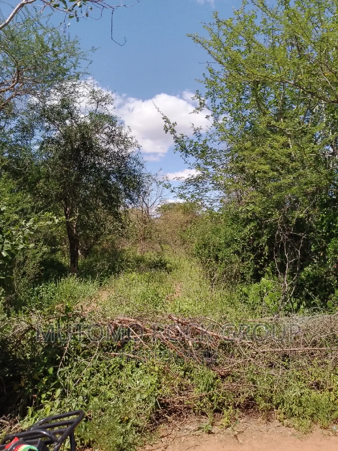 300acres for Sale in Mutomo