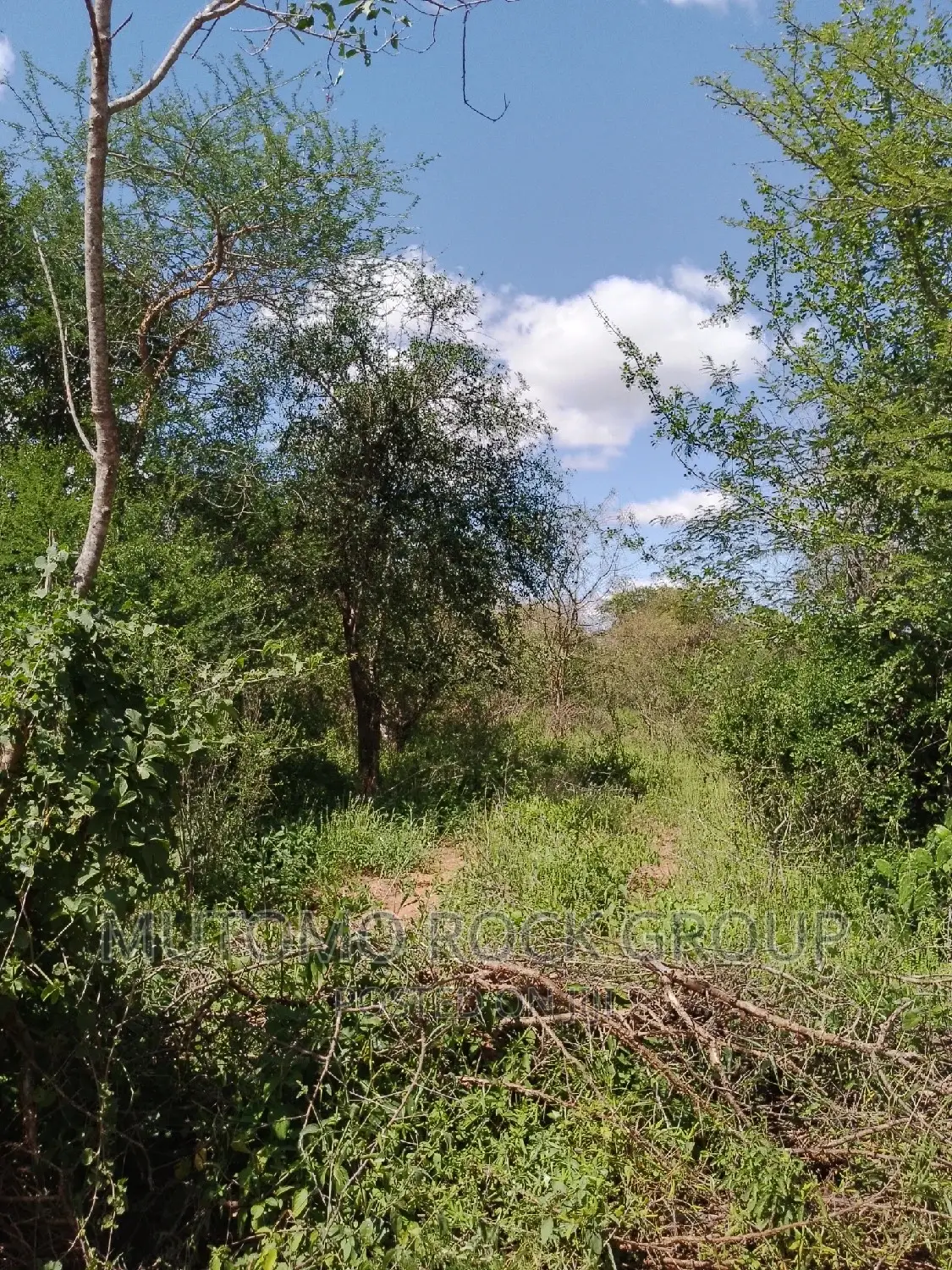 300acres for Sale in Mutomo